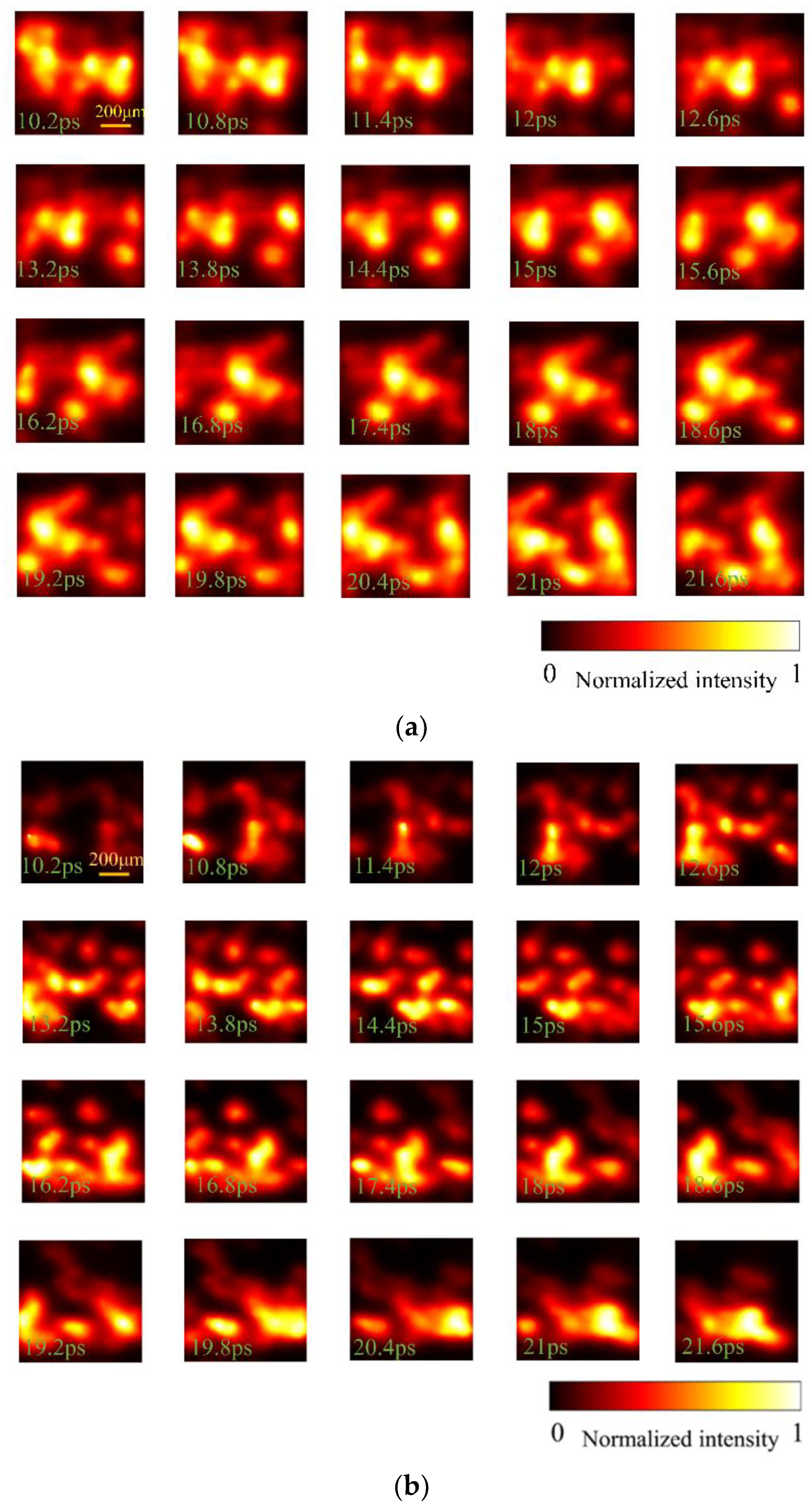 Photonics 09 00903 g004a Photonics 09 00903 g004a