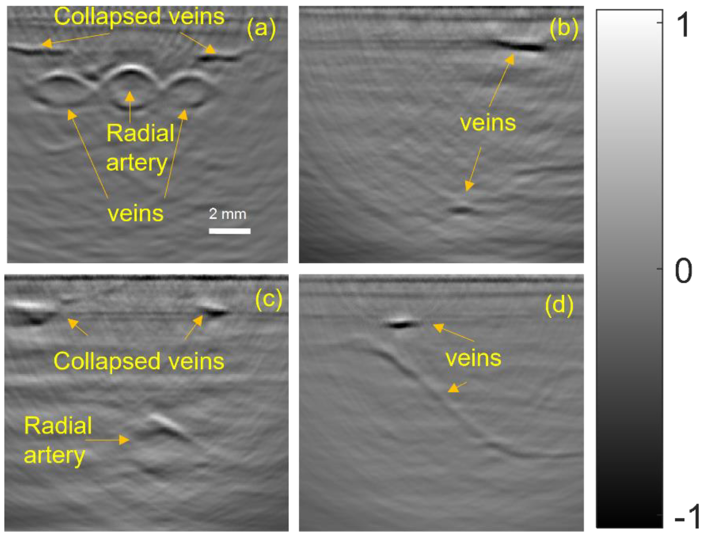 Photonics 09 00907 g008 Photonics 09 00907 g008