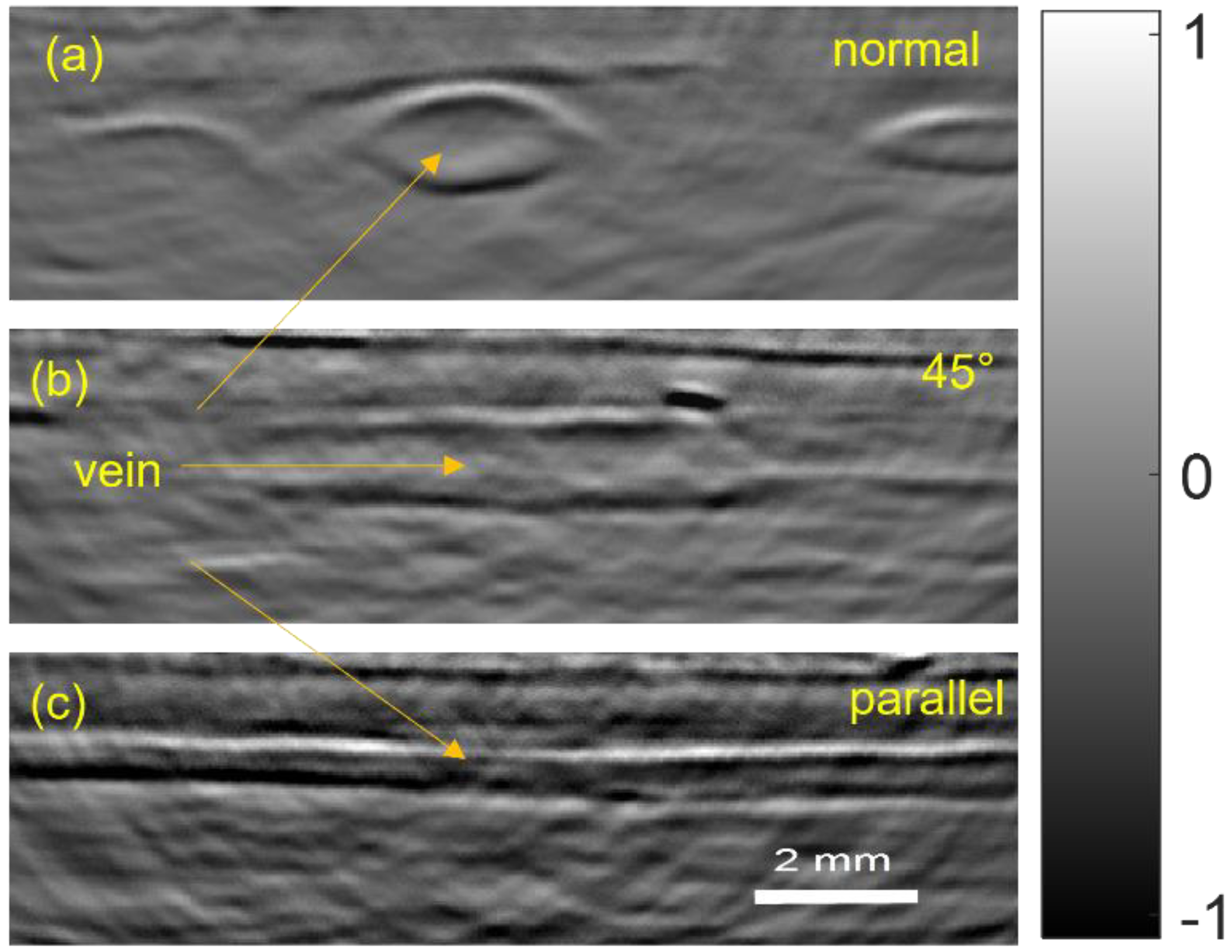 Photonics 09 00907 g009 Photonics 09 00907 g009