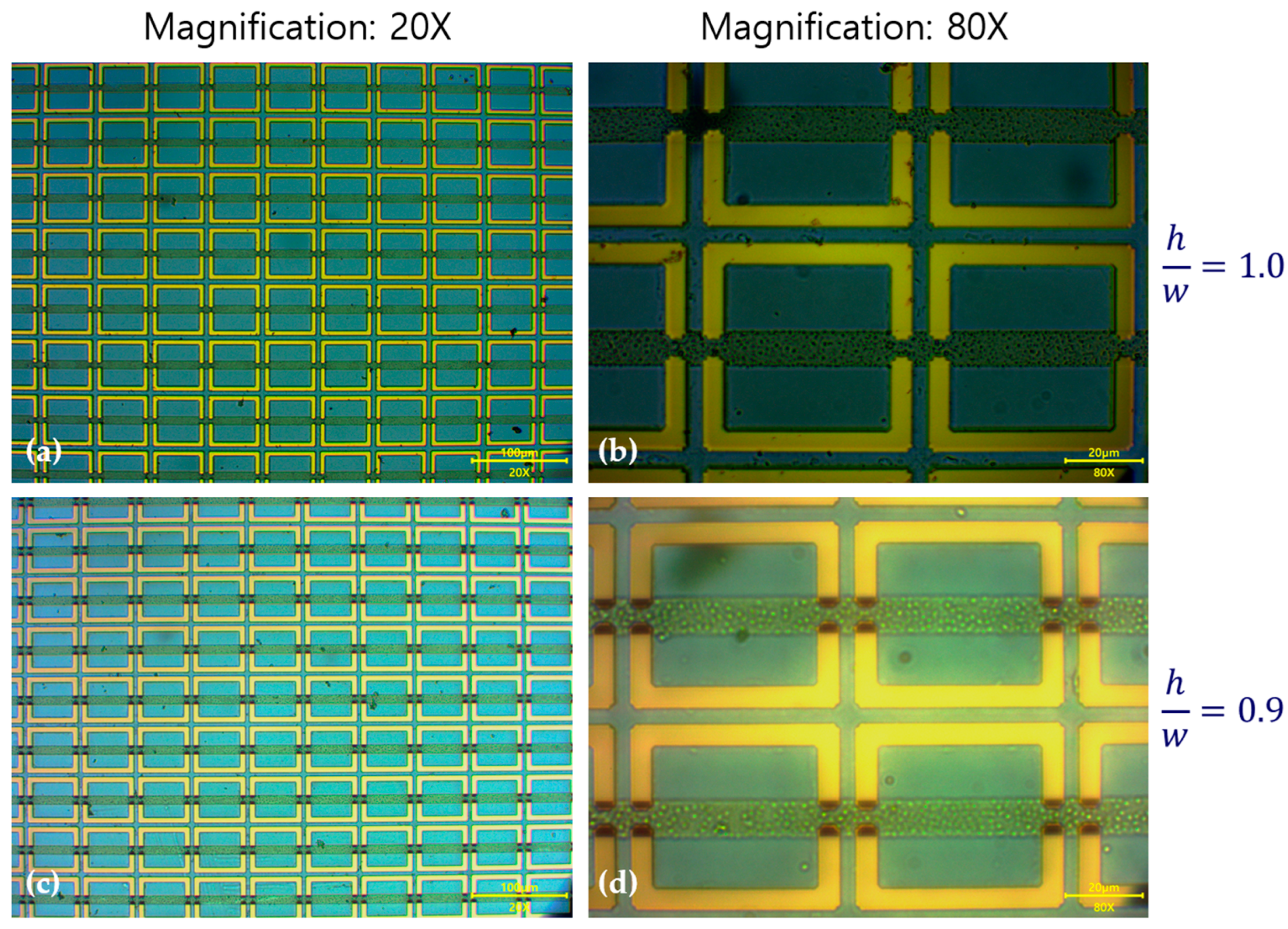 Photonics 09 00966 g006