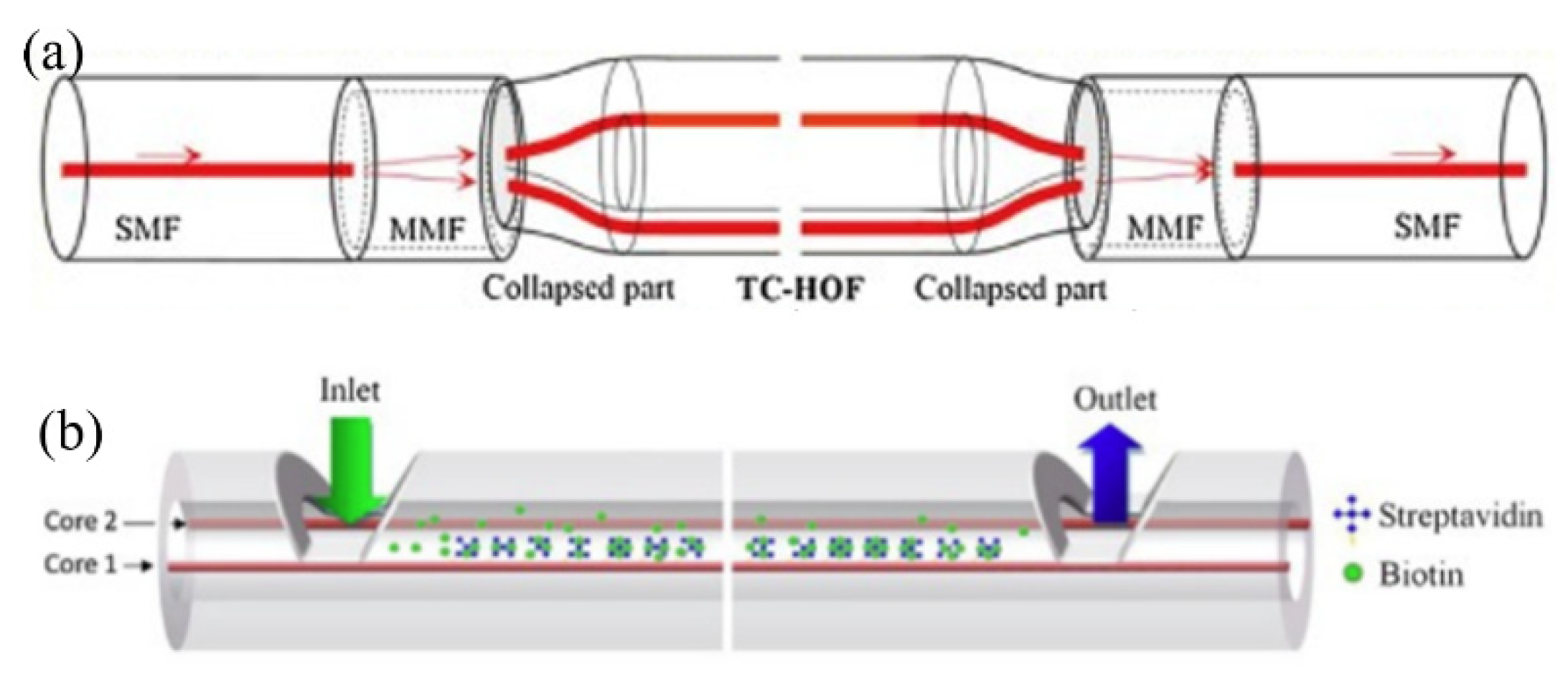 Photonics 09 00987 g007