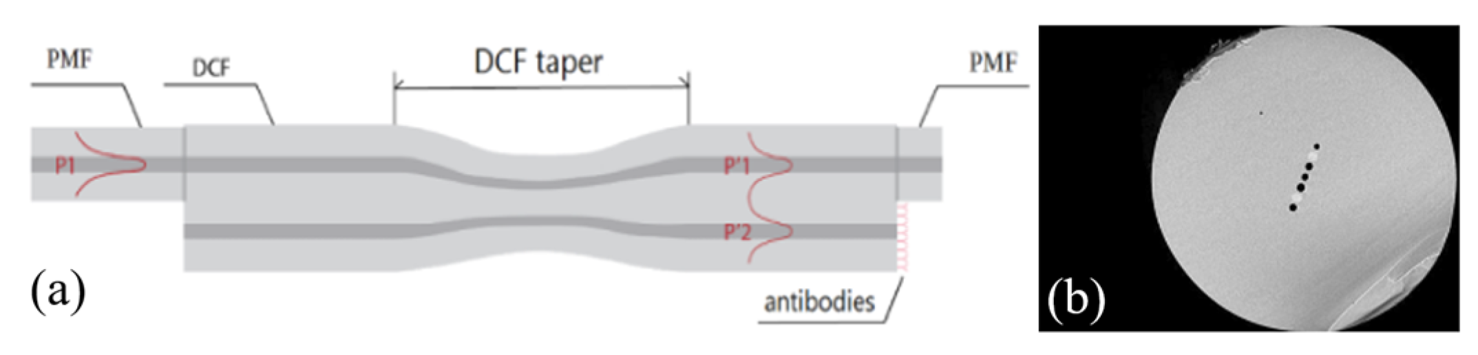 Photonics 09 00987 g008