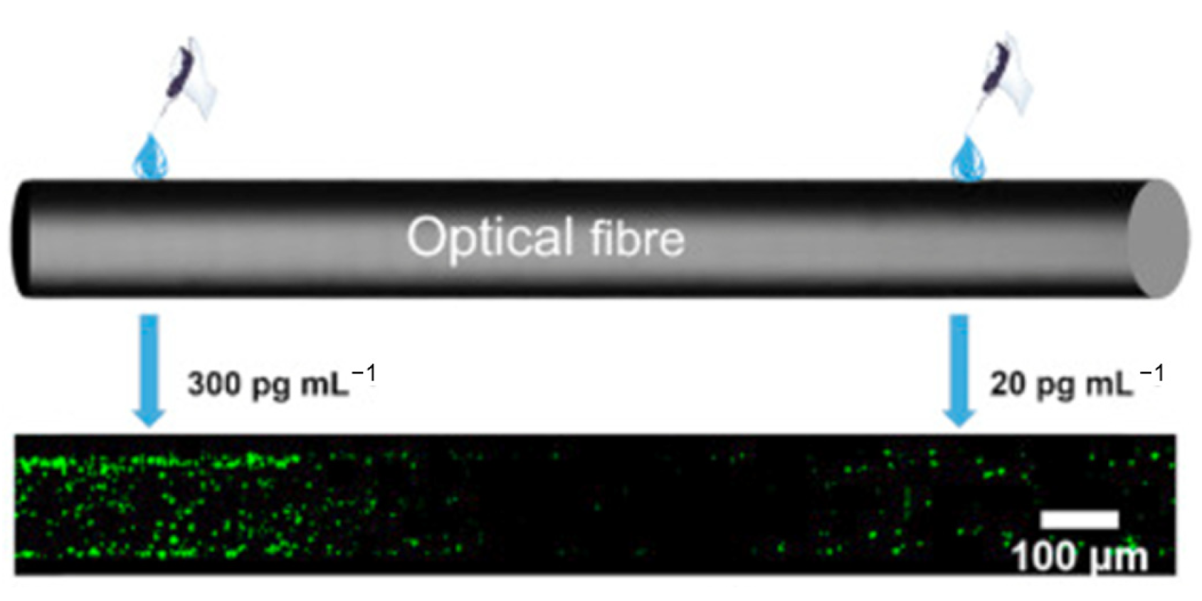 Photonics 09 00987 g016