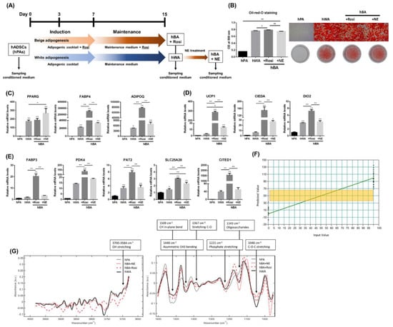 Photonics 10 00002 g001