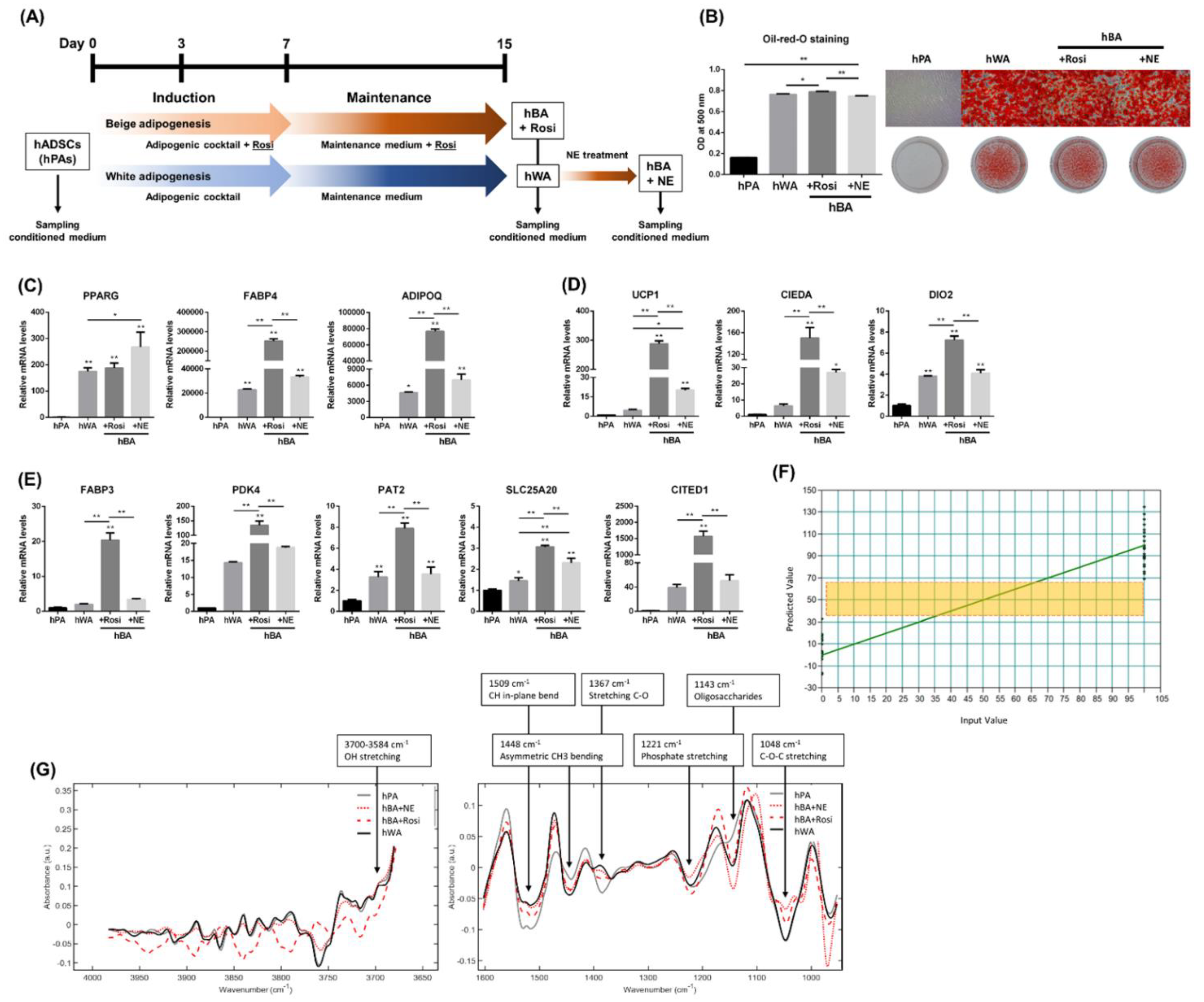 Photonics 10 00002 g001