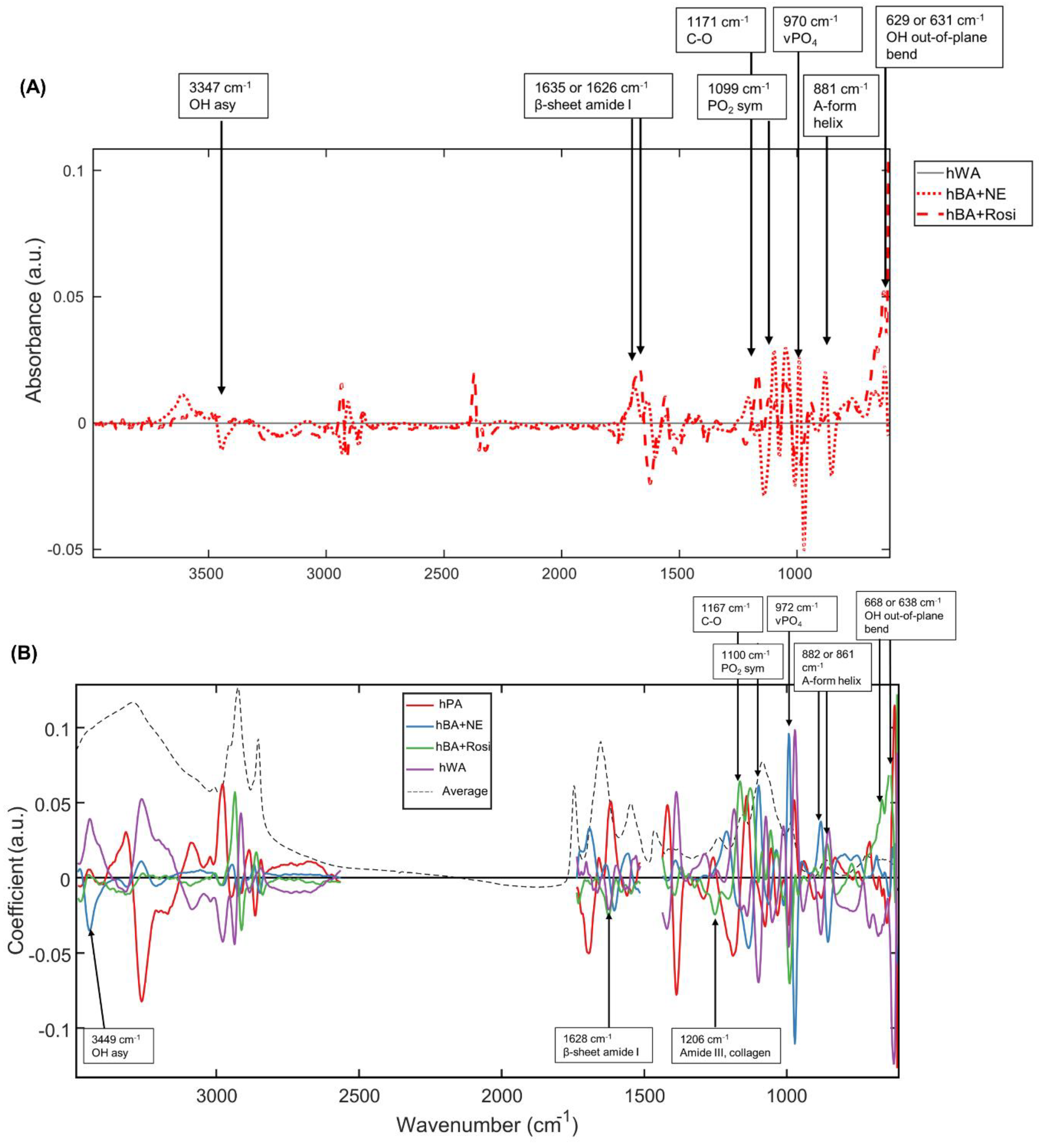 Photonics 10 00002 g003a
