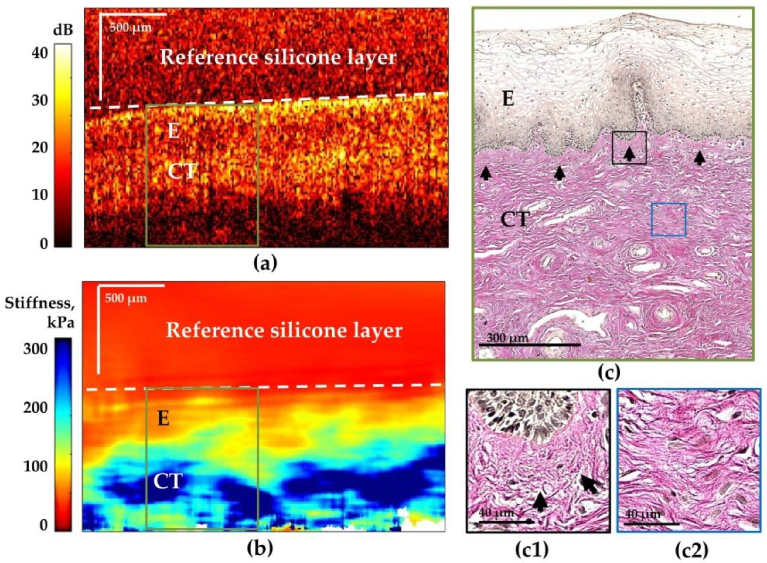 Photonics 10 00006 g002 Photonics 10 00006 g002