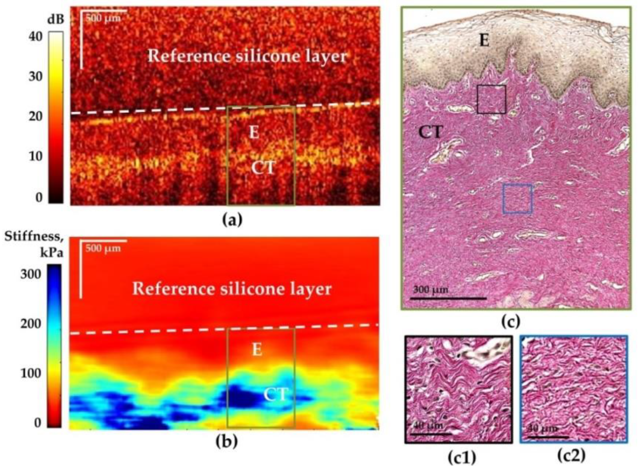 Photonics 10 00006 g004 Photonics 10 00006 g004