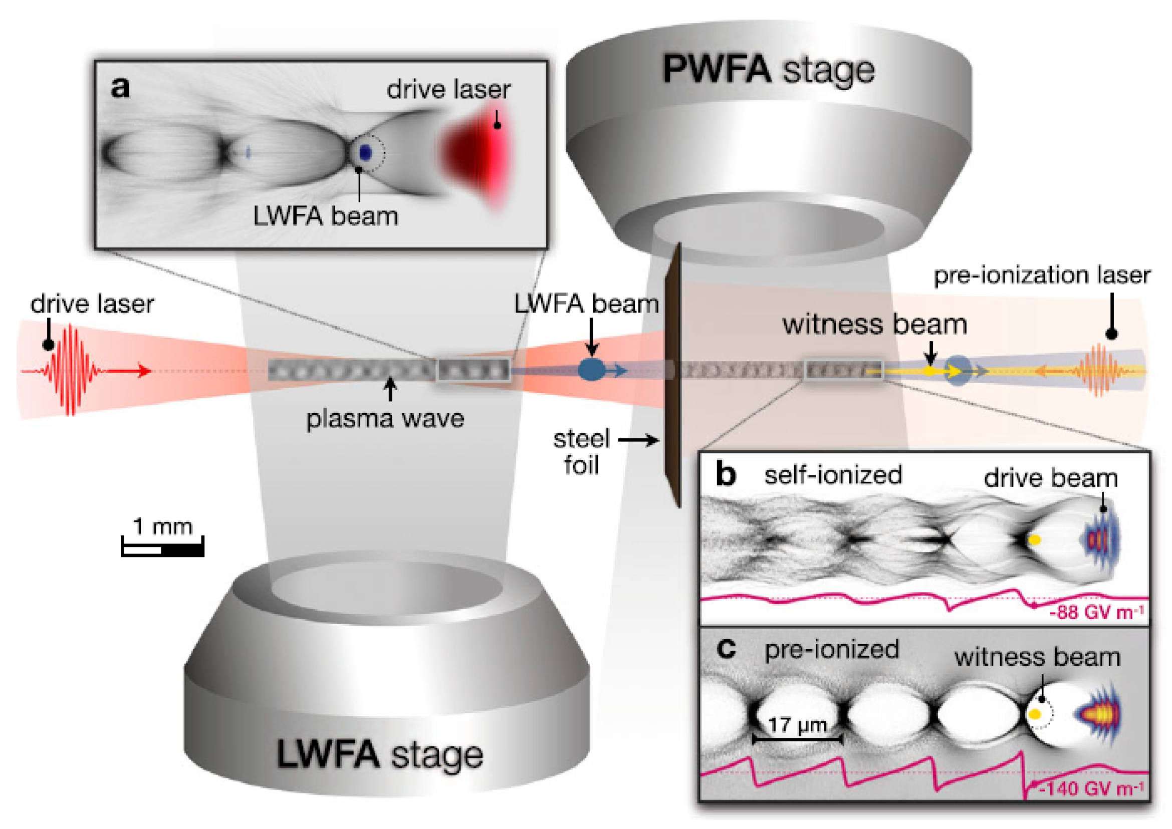 Photonics 10 00099 g009