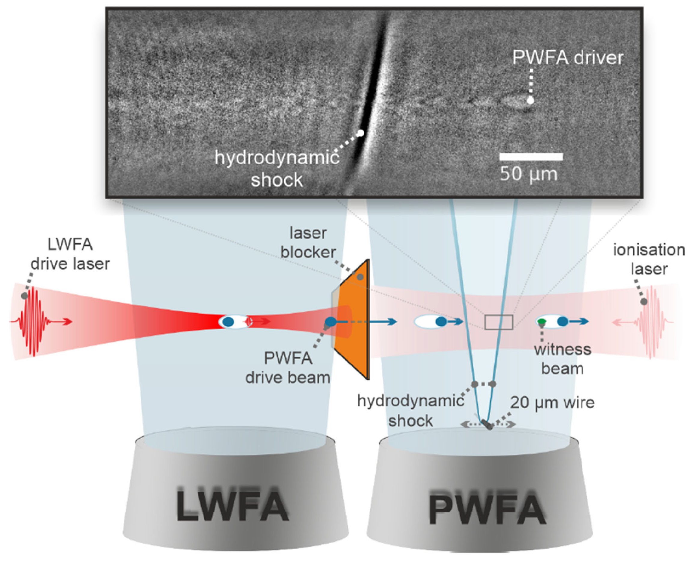 Photonics 10 00099 g010