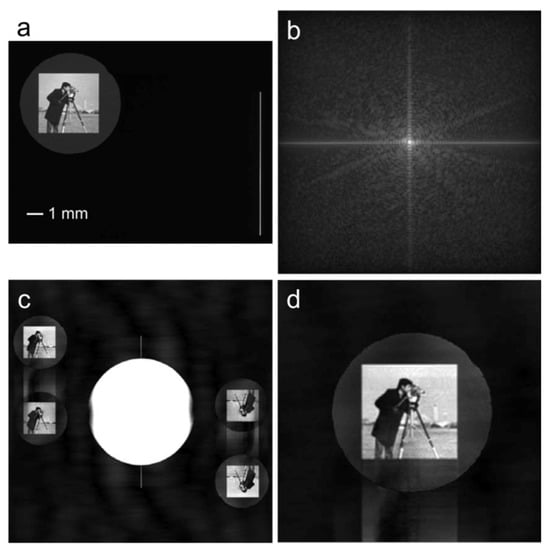 Photonics 10 00153 g006