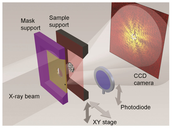 Photonics 10 00153 g019