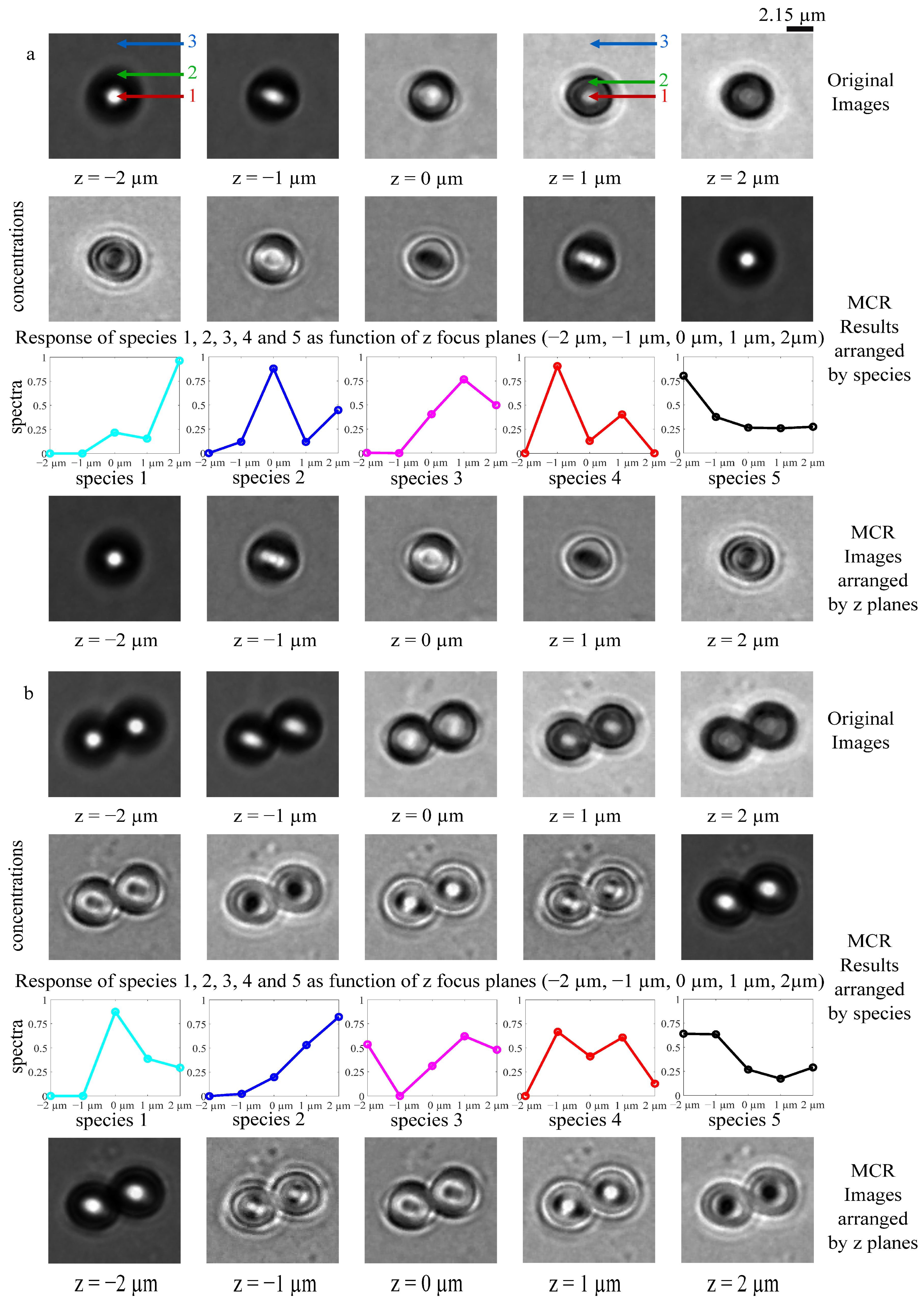 Photonics 10 00163 g002