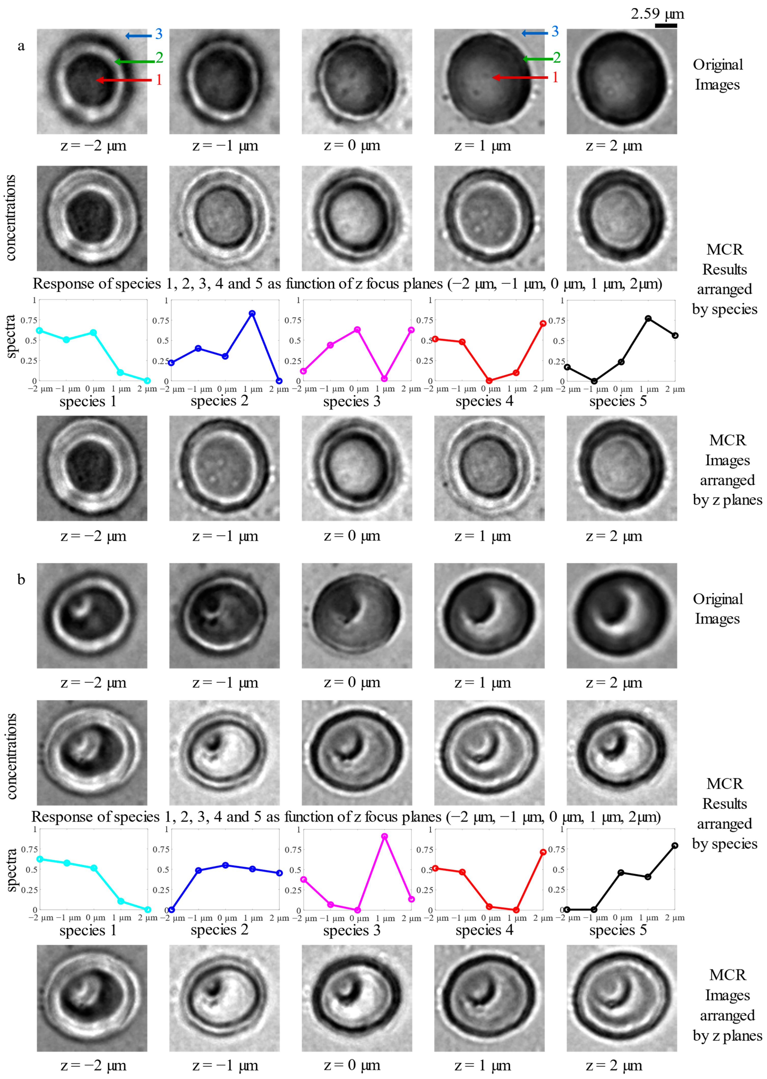 Photonics 10 00163 g003