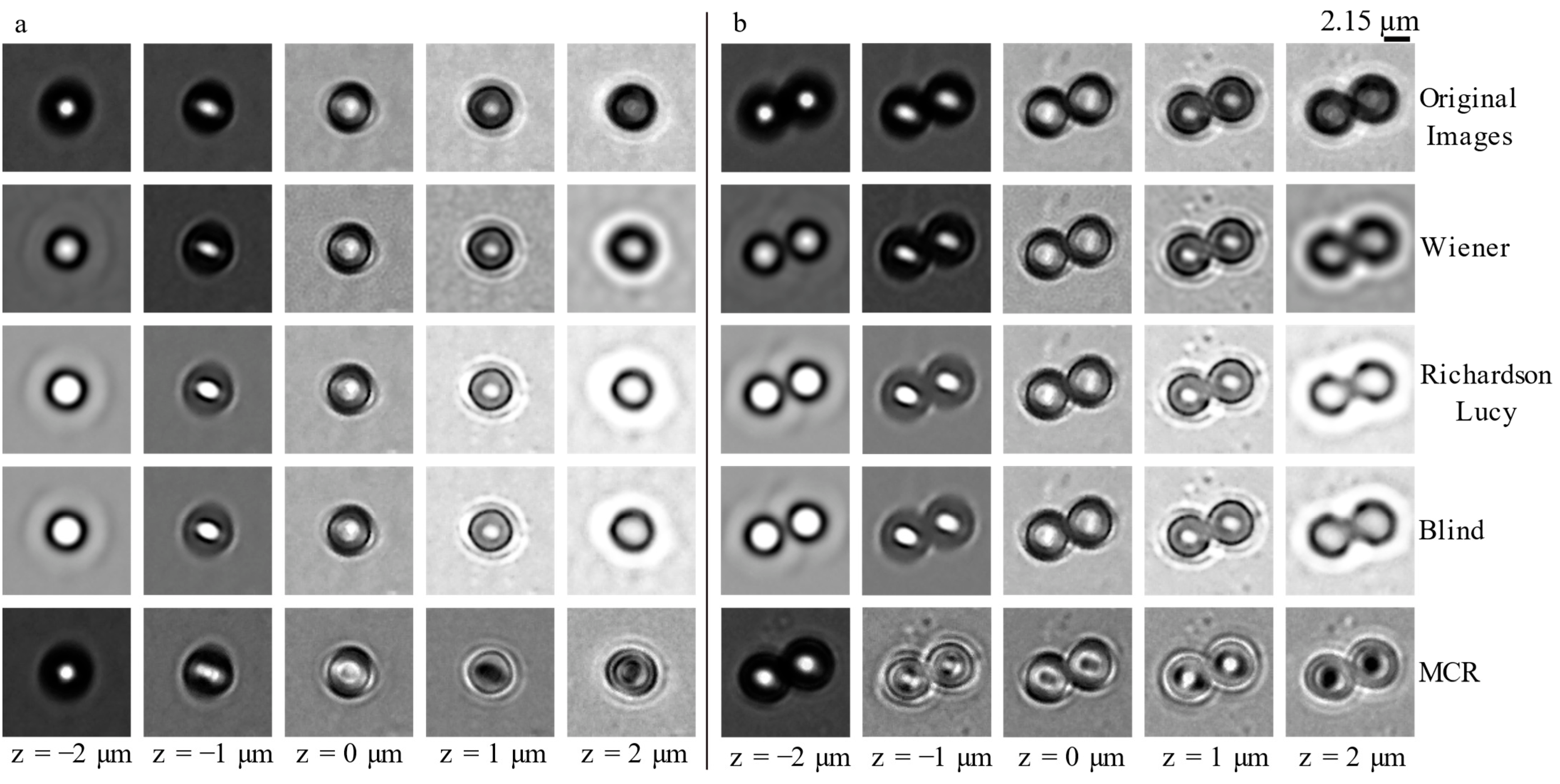 Photonics 10 00163 g005