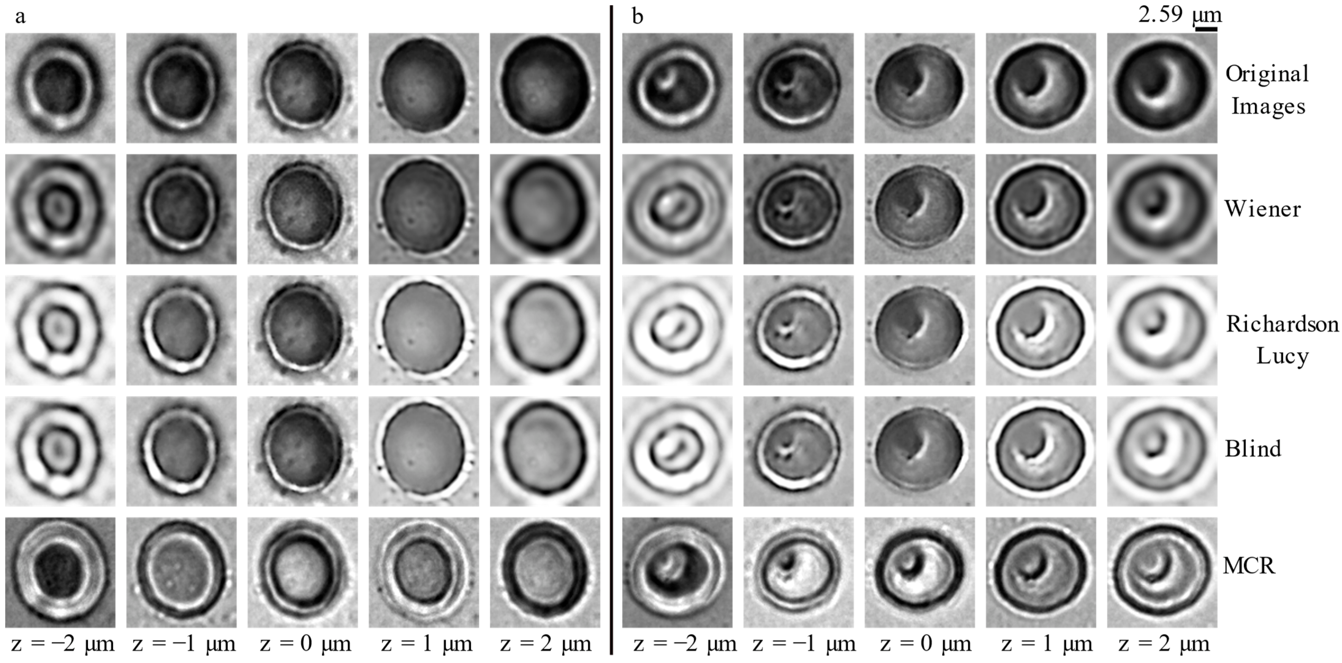 Photonics 10 00163 g006