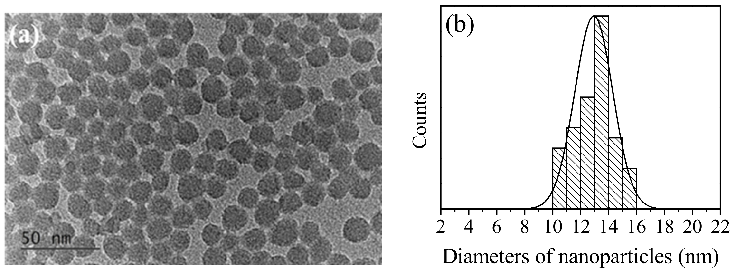Photonics 10 00167 g001