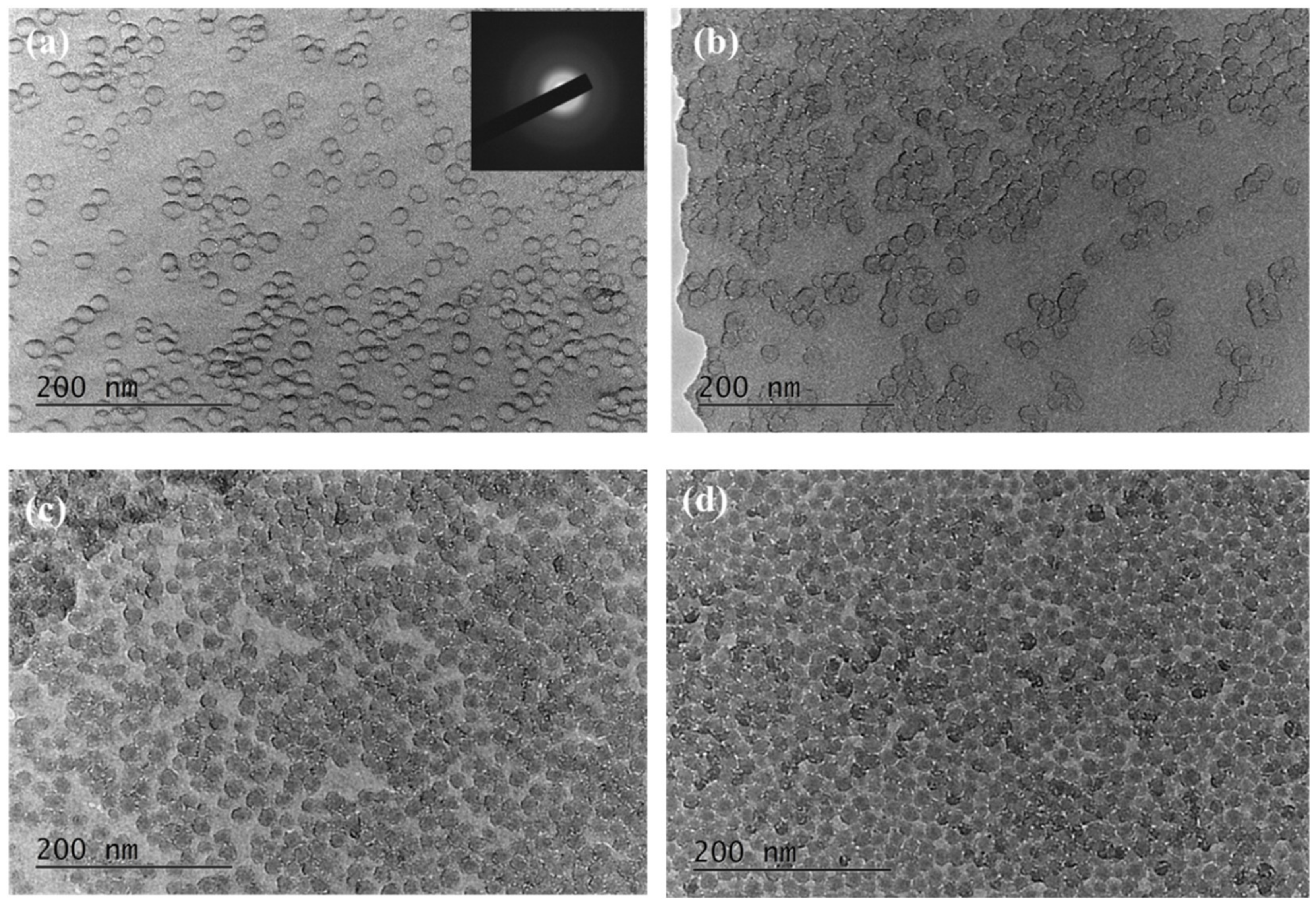 Photonics 10 00167 g002