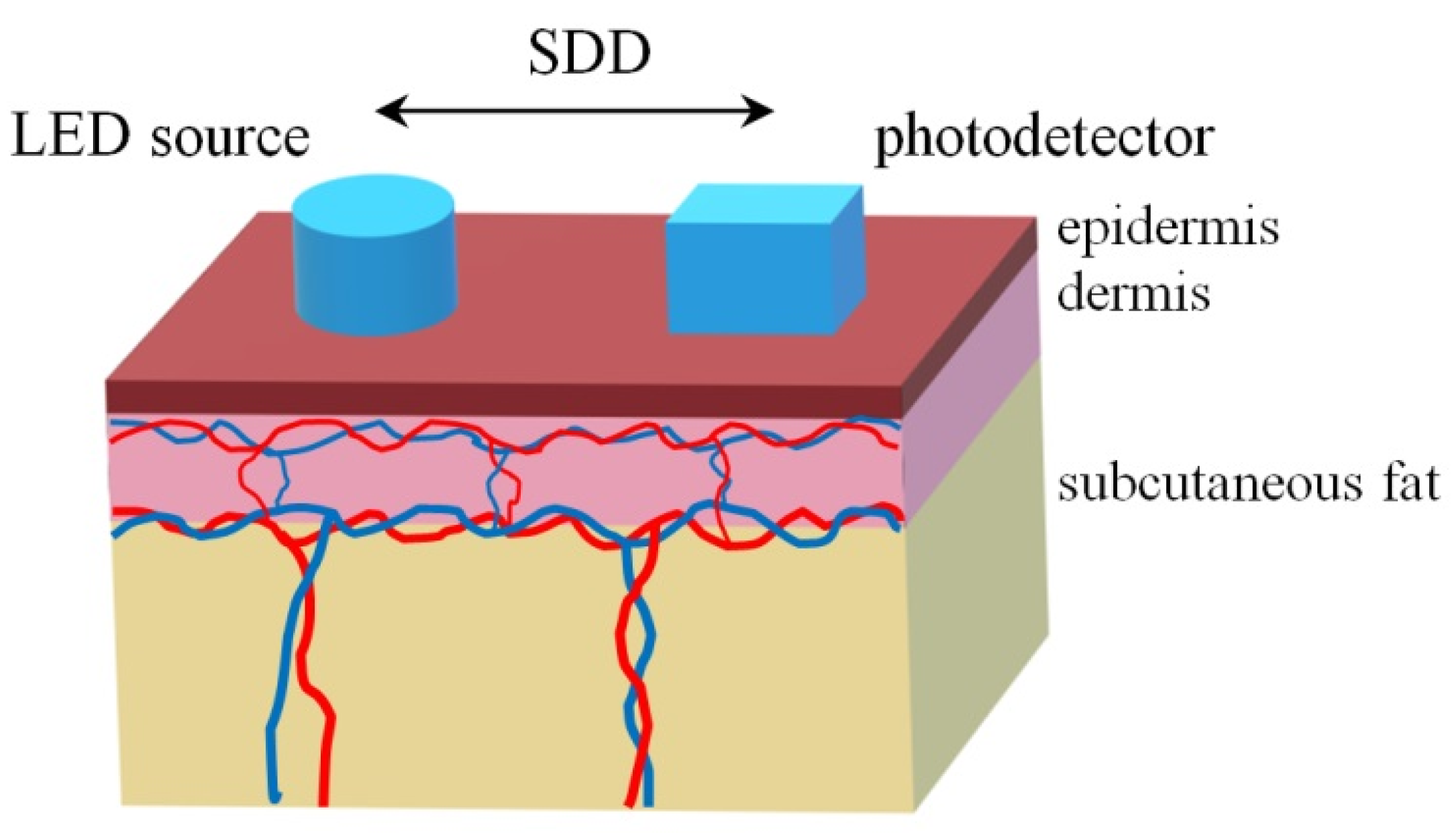 Photonics 10 00190 g001