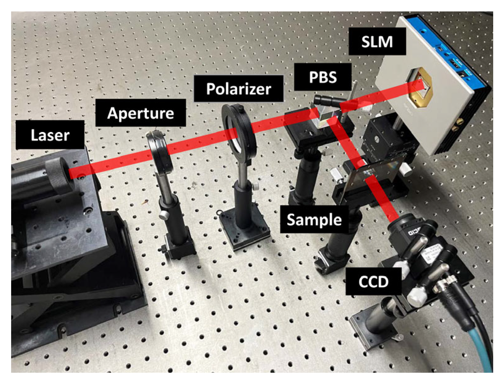 Photonics 10 00191 g005
