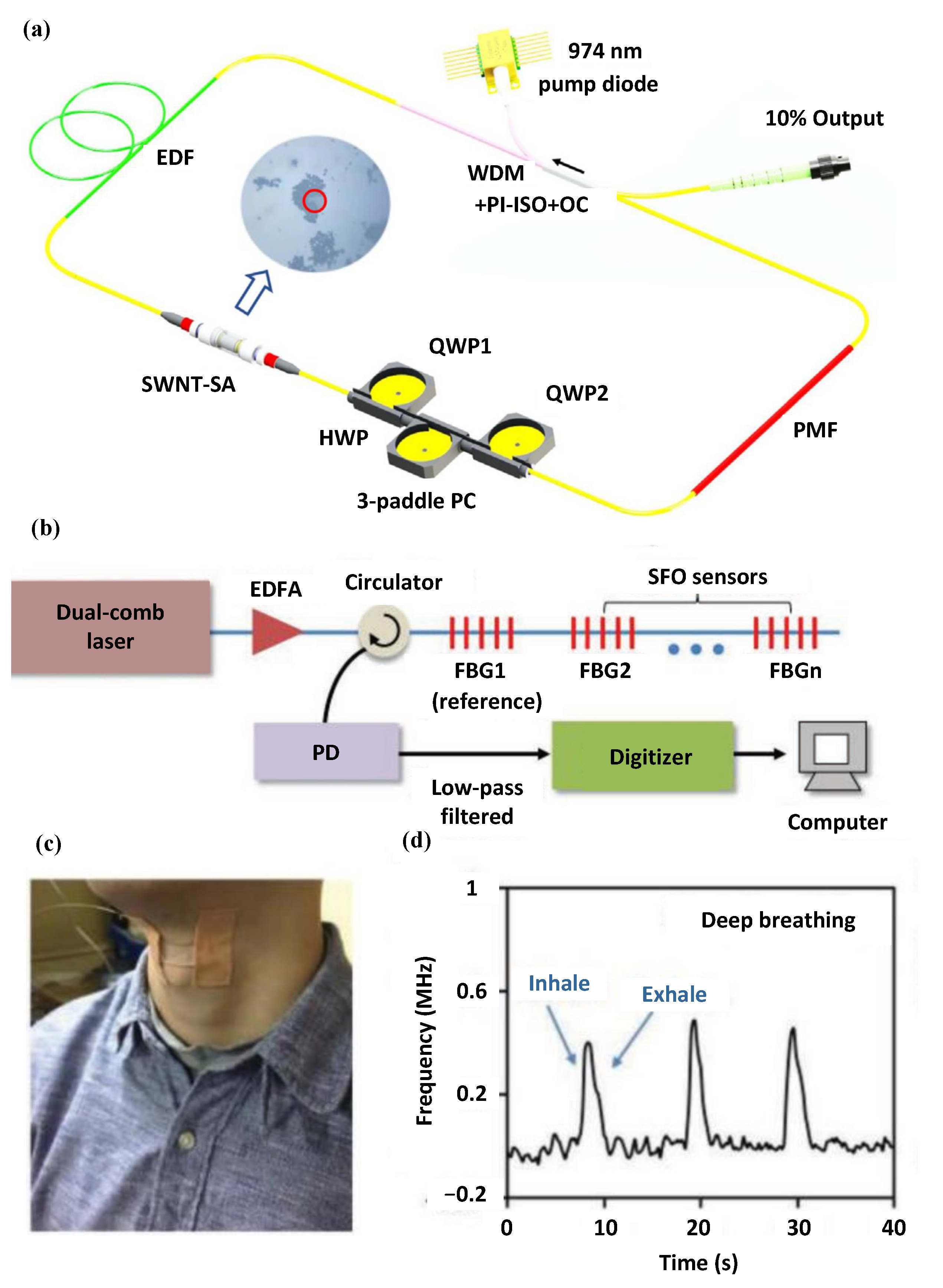 Photonics 10 00221 g005