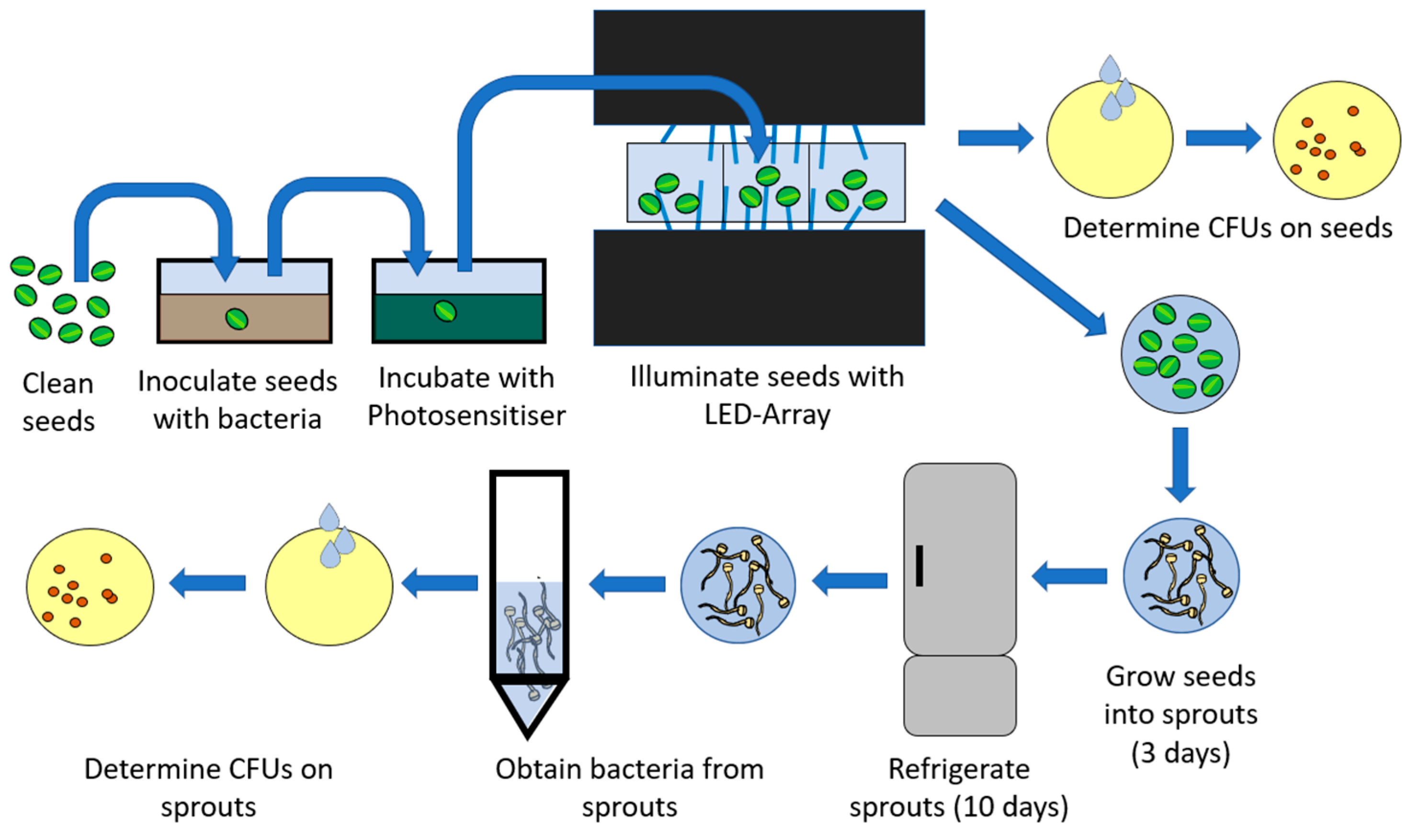 Photonics 10 00239 g001