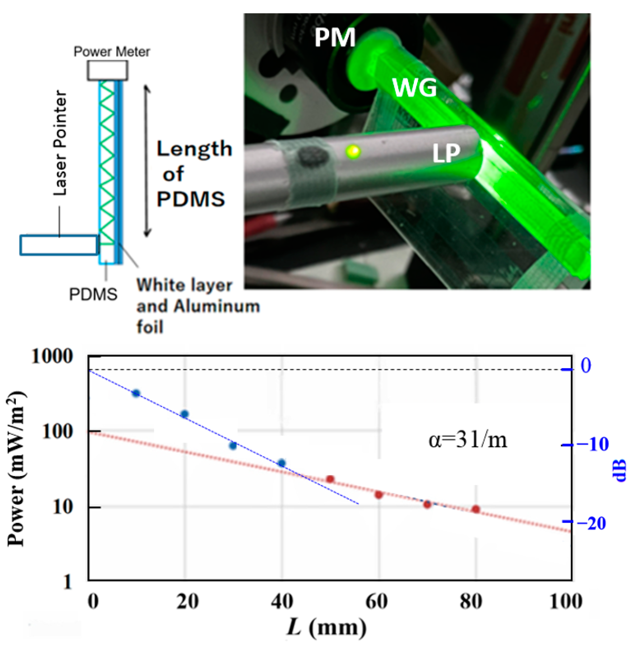 Photonics 10 00299 g004