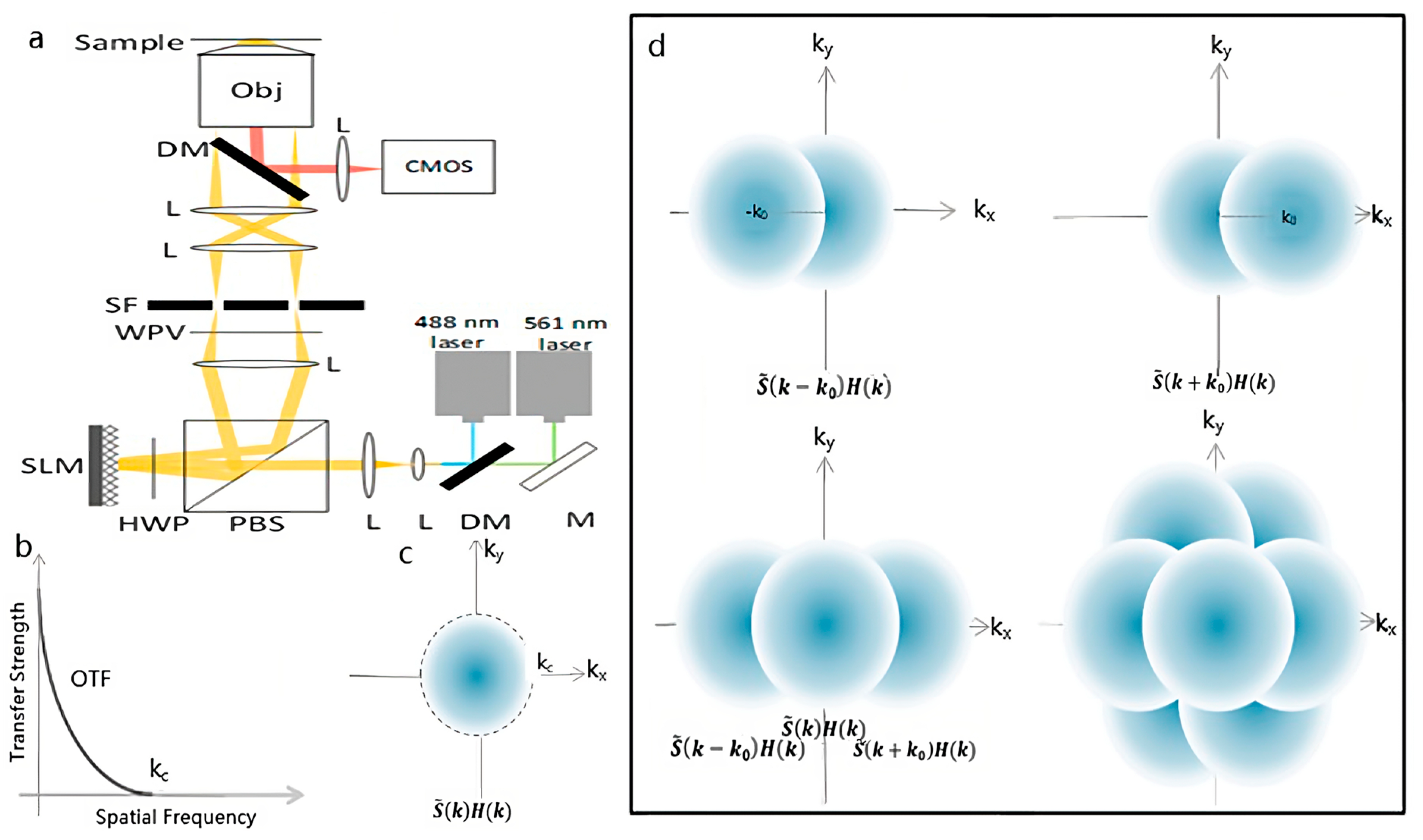 Photonics 10 00313 g001