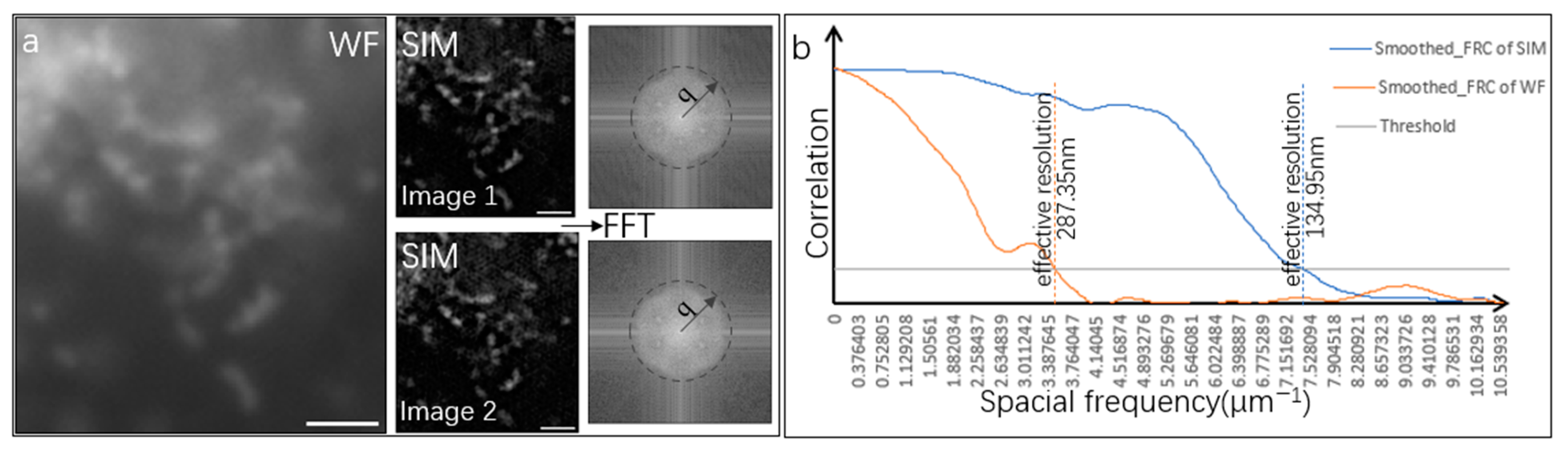 Photonics 10 00313 g004