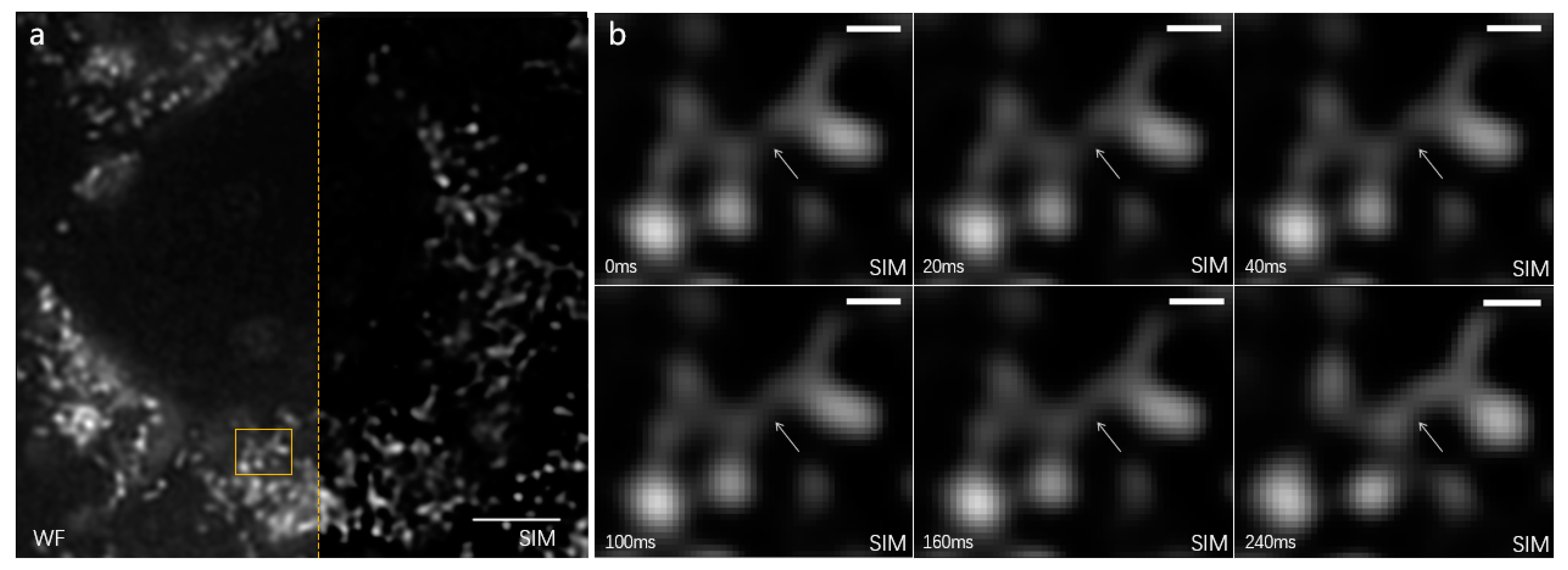 Photonics 10 00313 g005