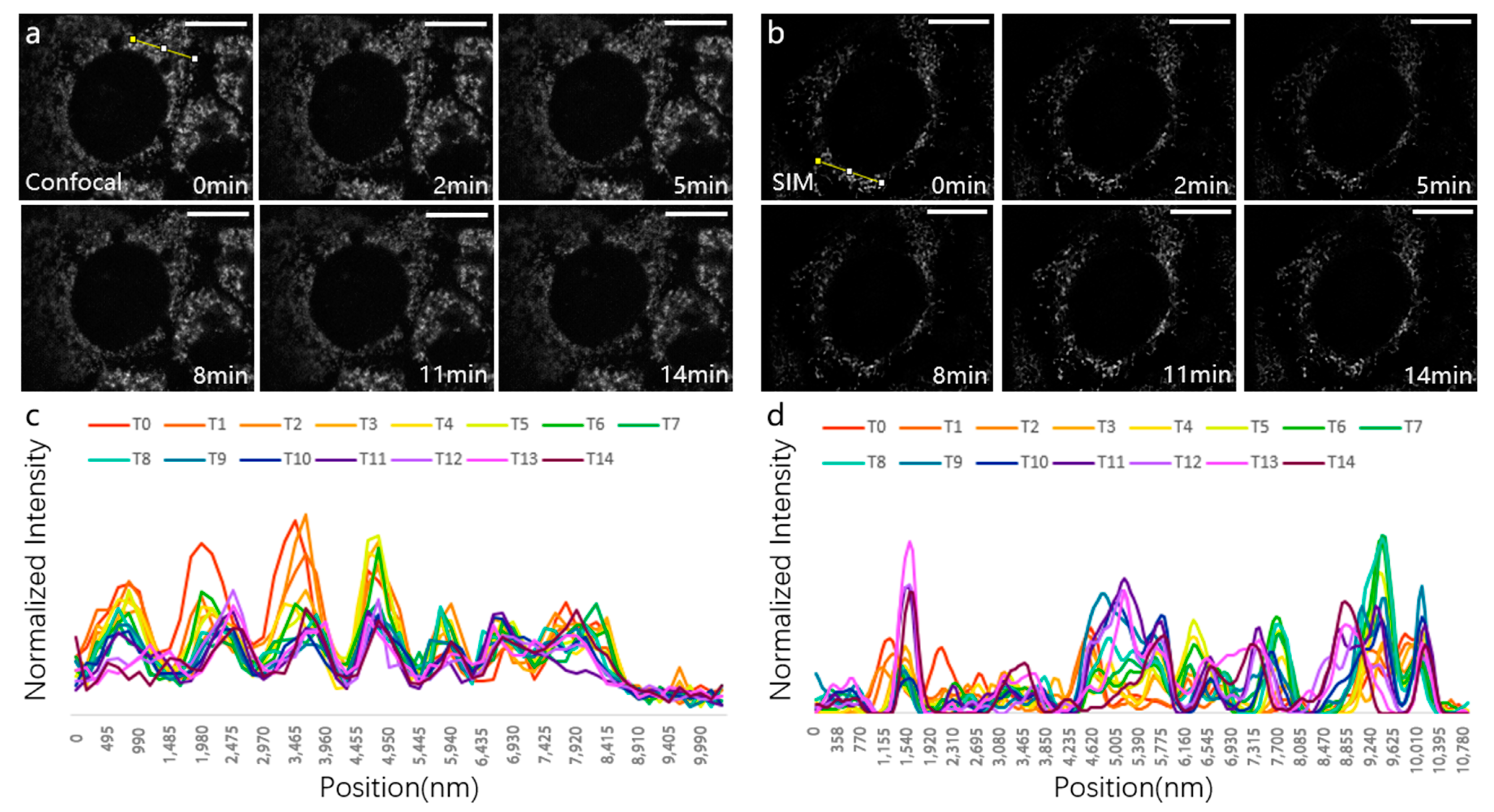 Photonics 10 00313 g006