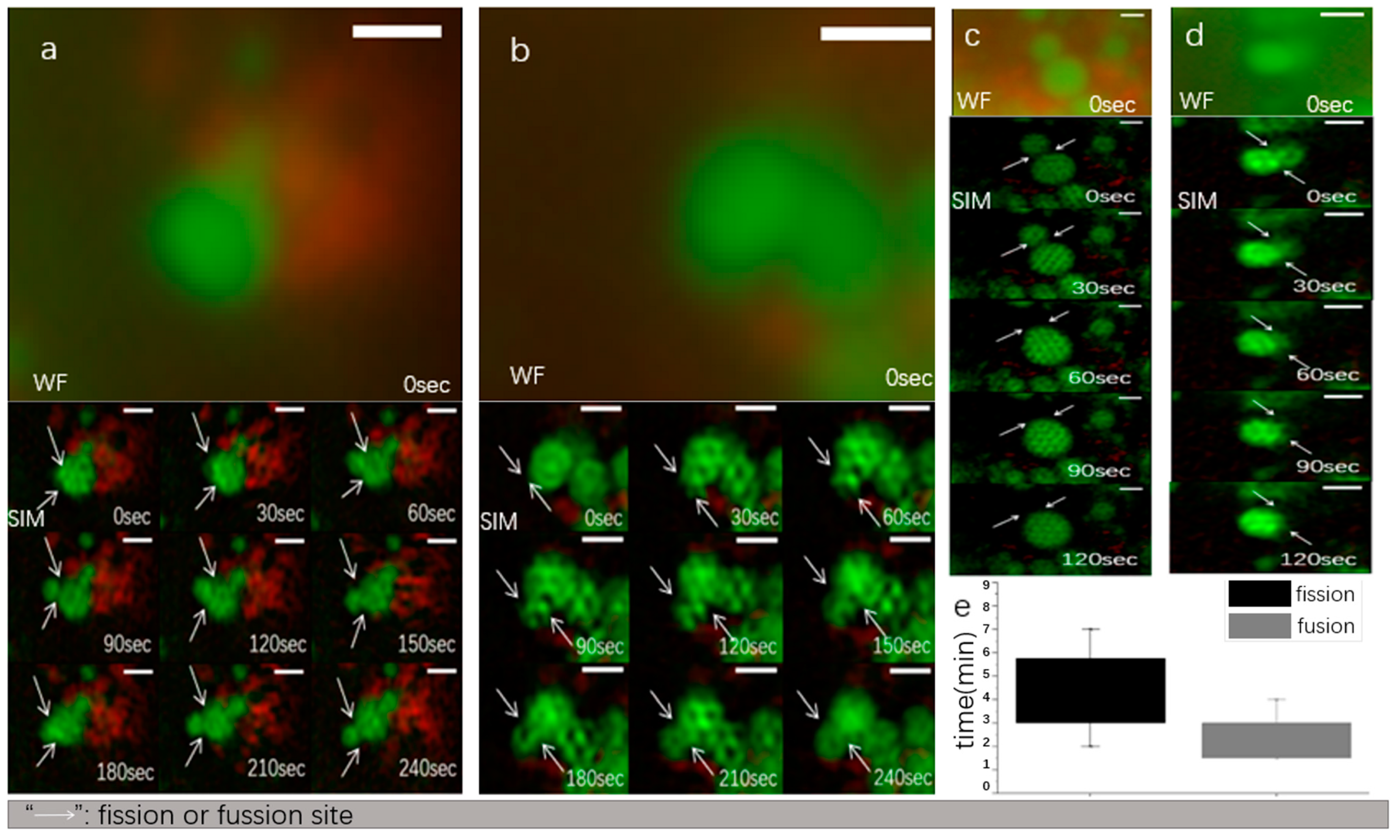 Photonics 10 00313 g007