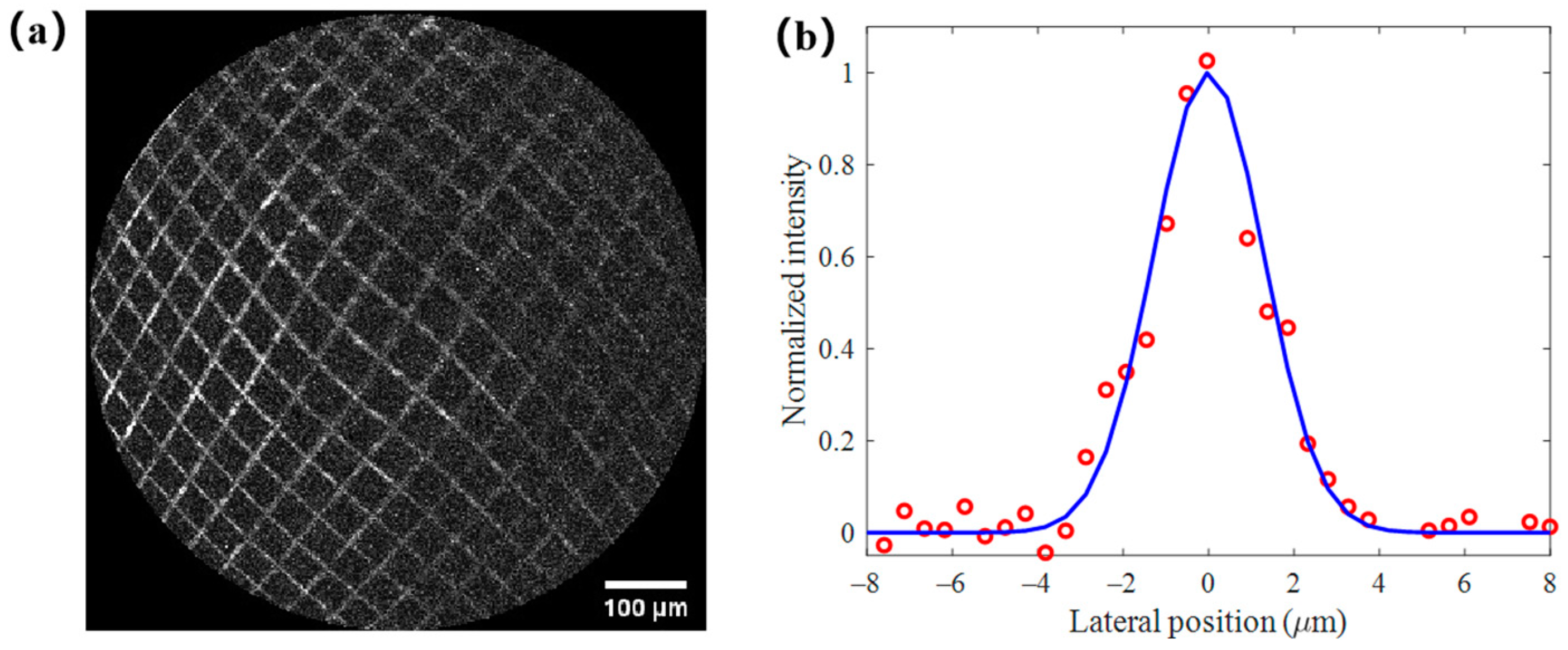 Photonics 10 00342 g007