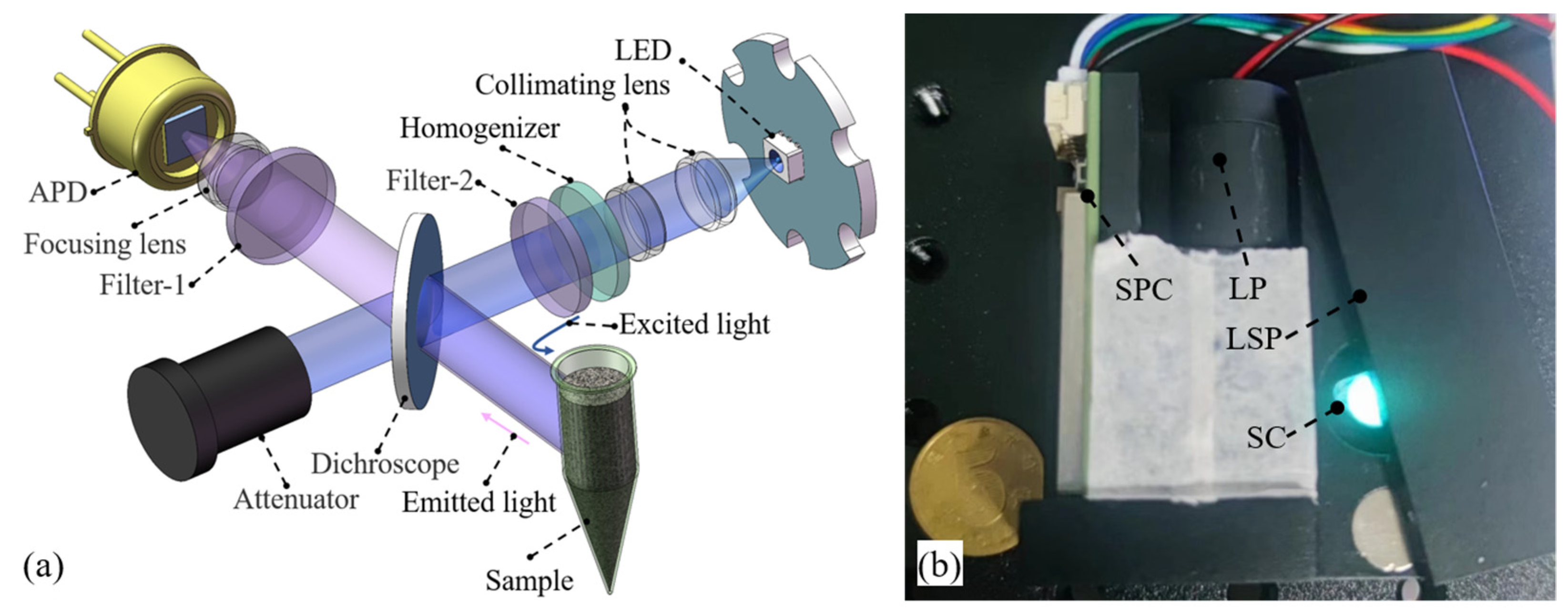 Photonics 10 00392 g002