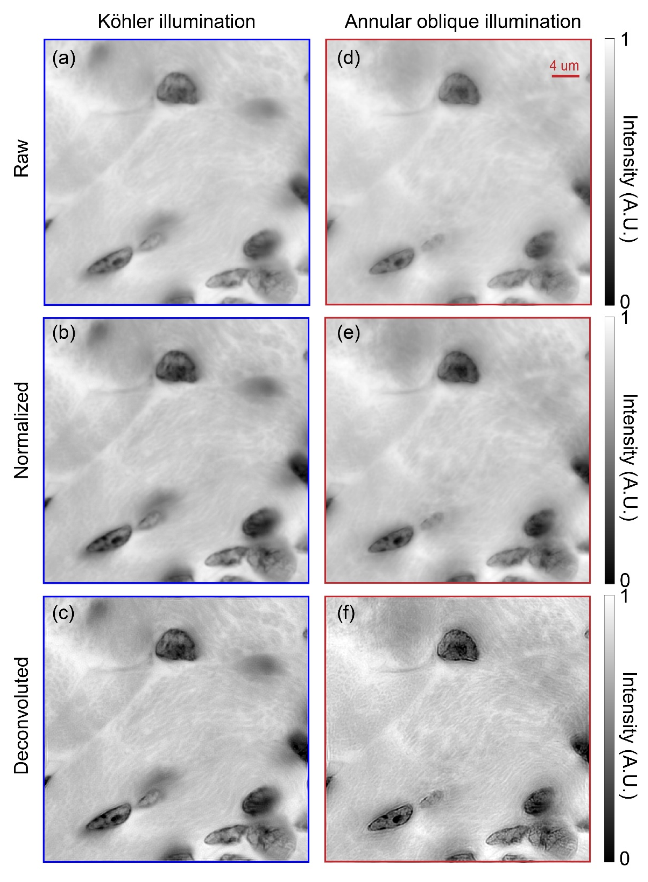 Photonics 10 00404 g011 Photonics 10 00404 g011