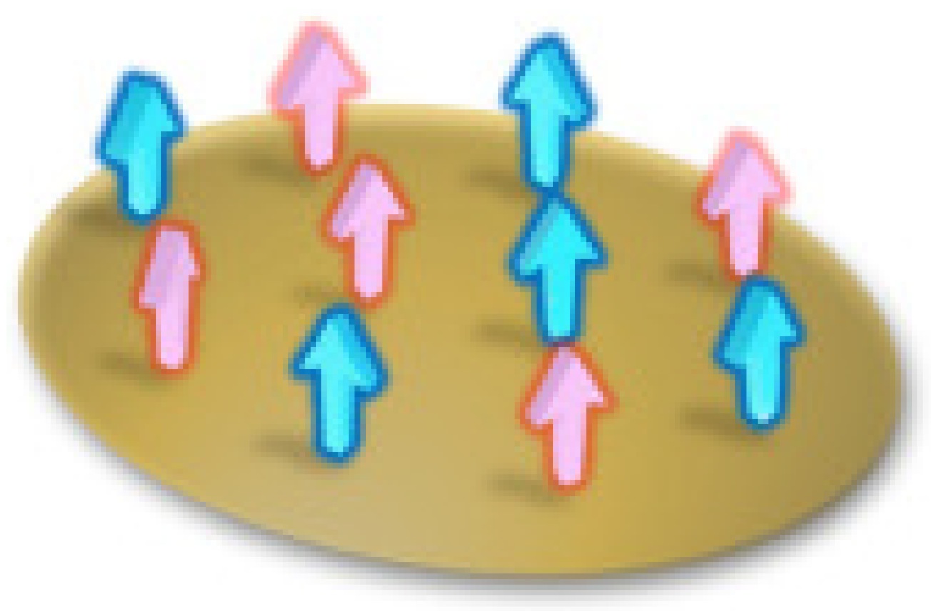 Photonics 10 00405 g001