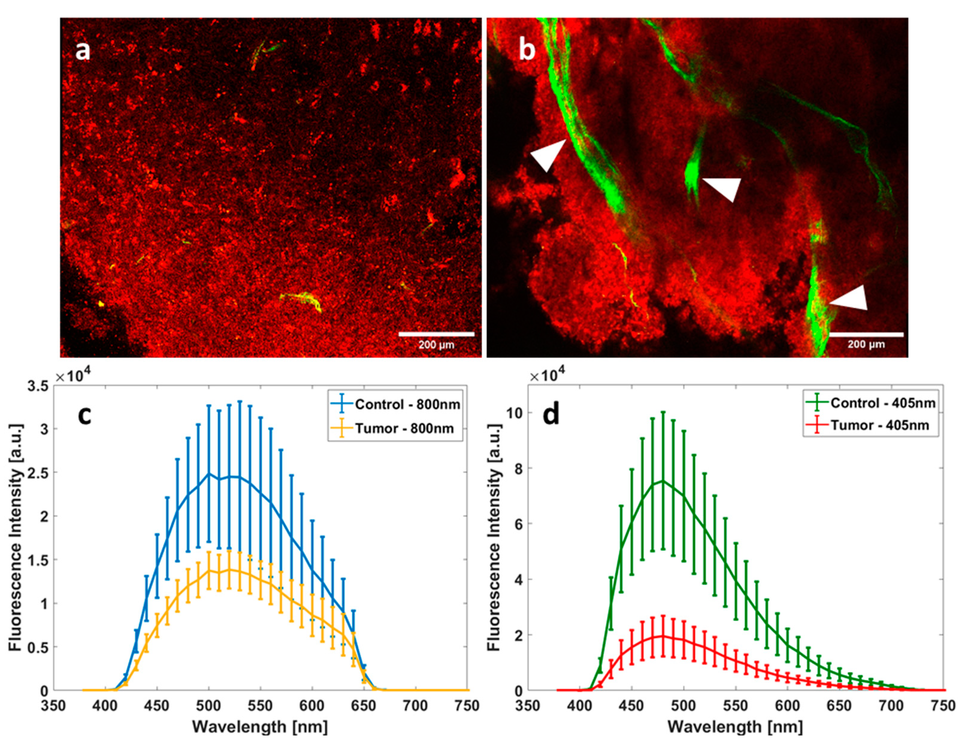 Photonics 10 00434 g002