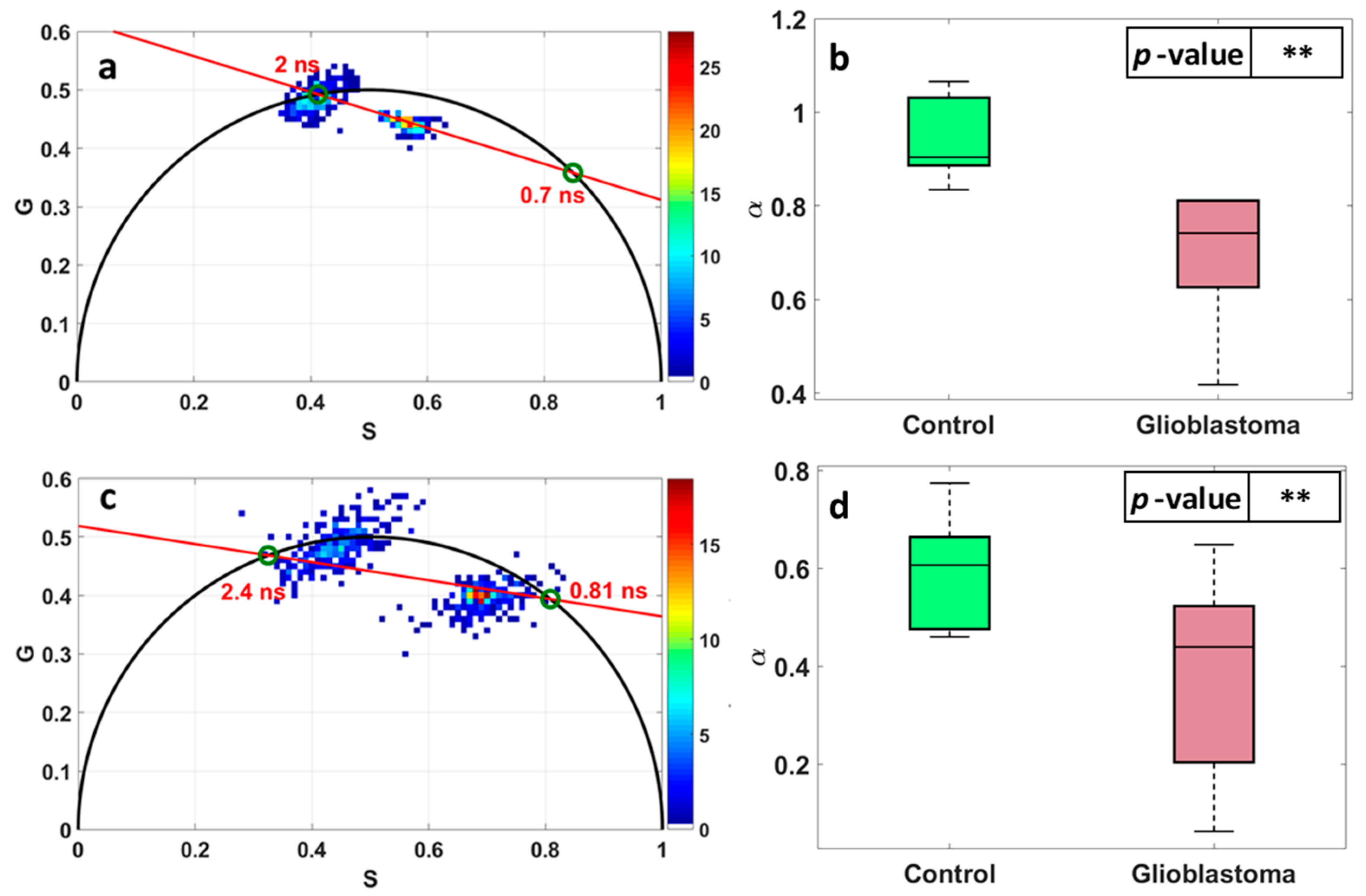Photonics 10 00434 g003