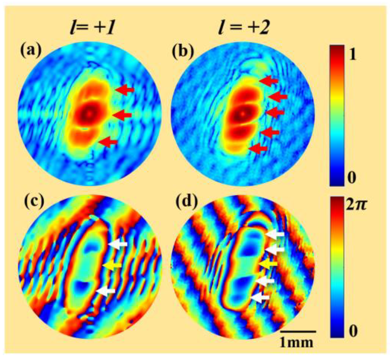 Photonics 10 00444 g008