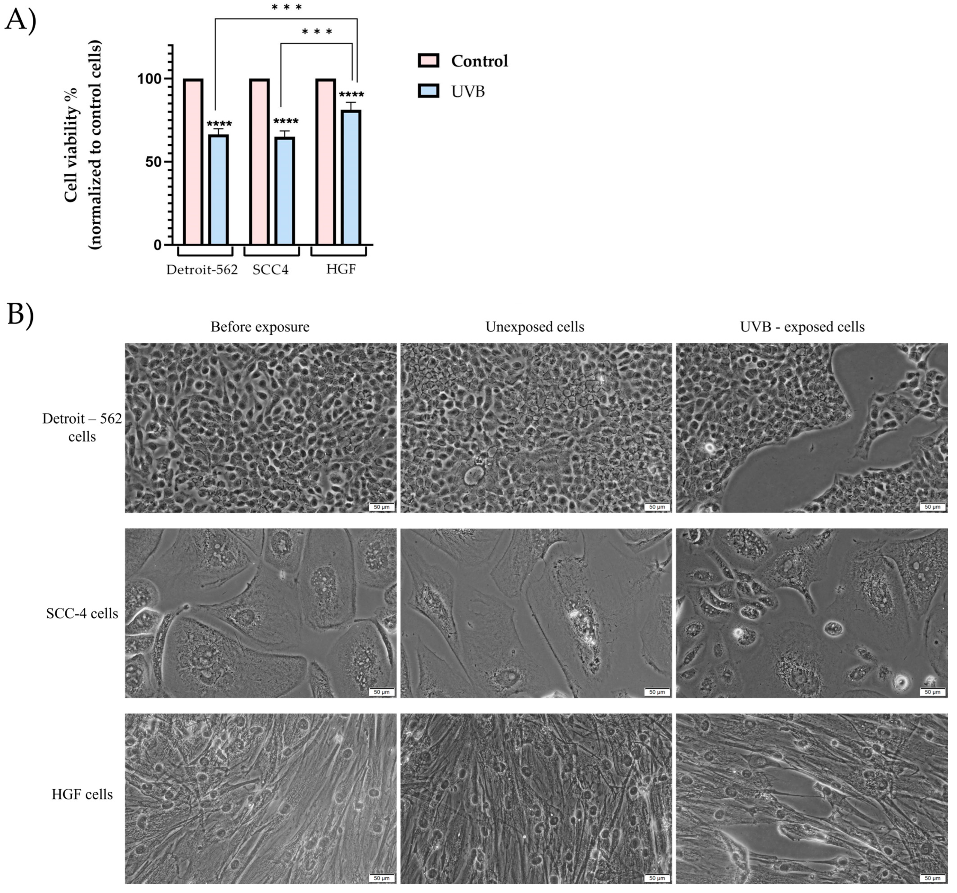 Photonics 10 00464 g001