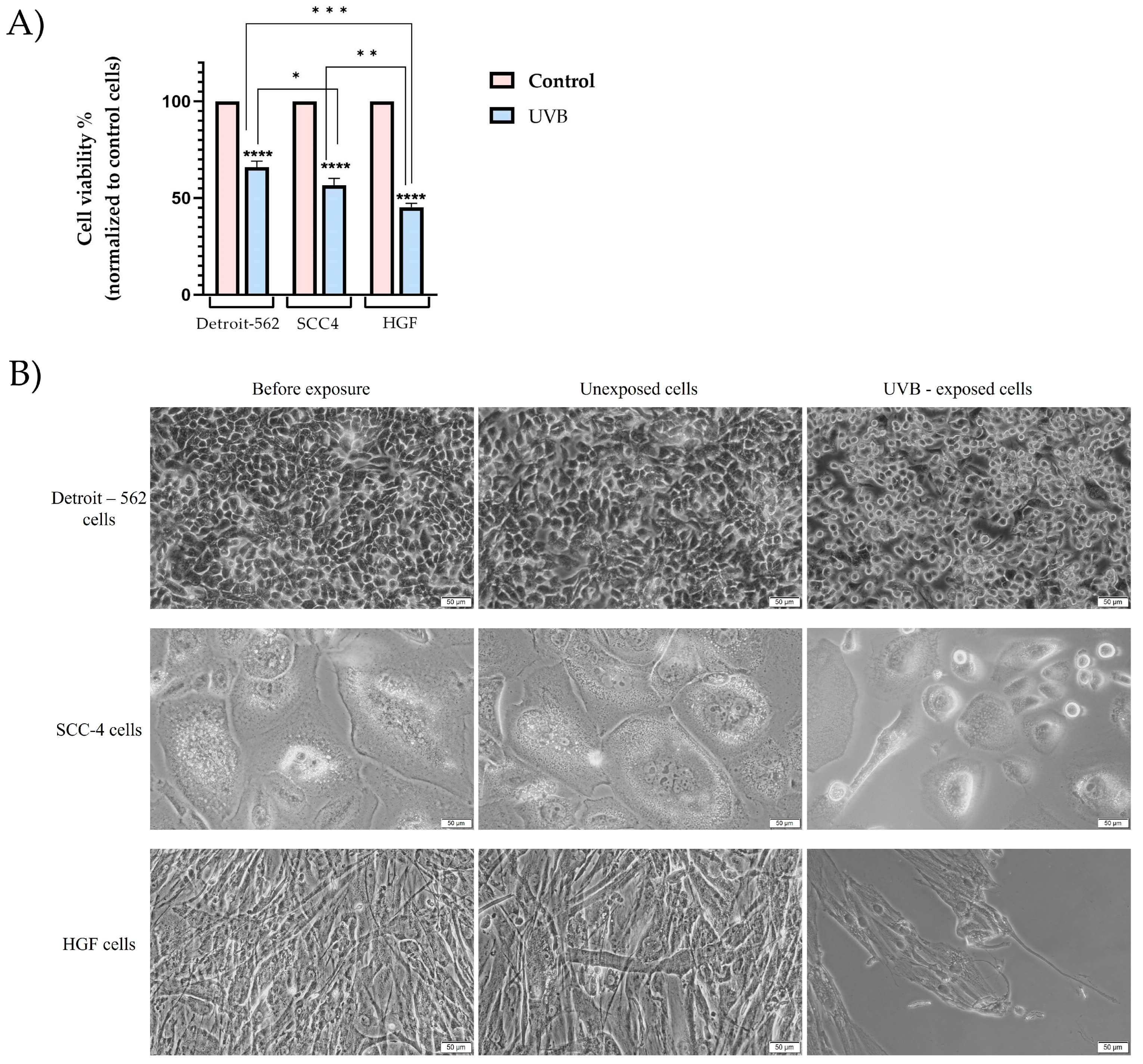 Photonics 10 00464 g002