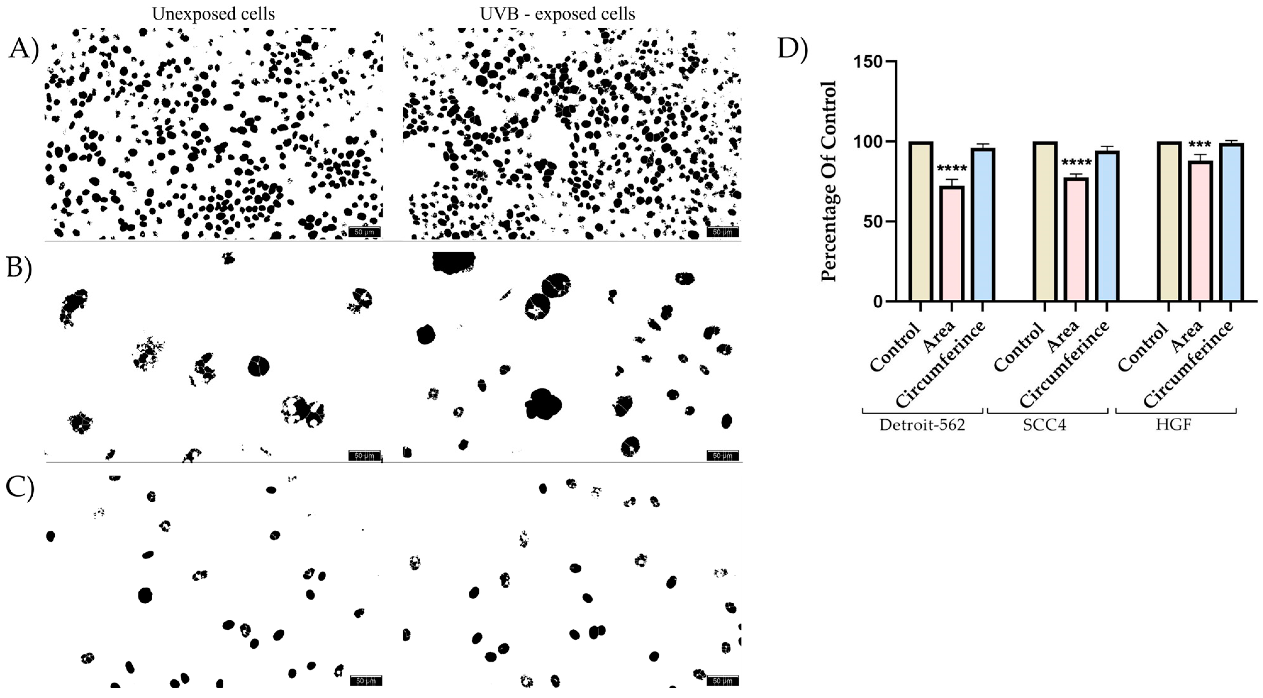 Photonics 10 00464 g007