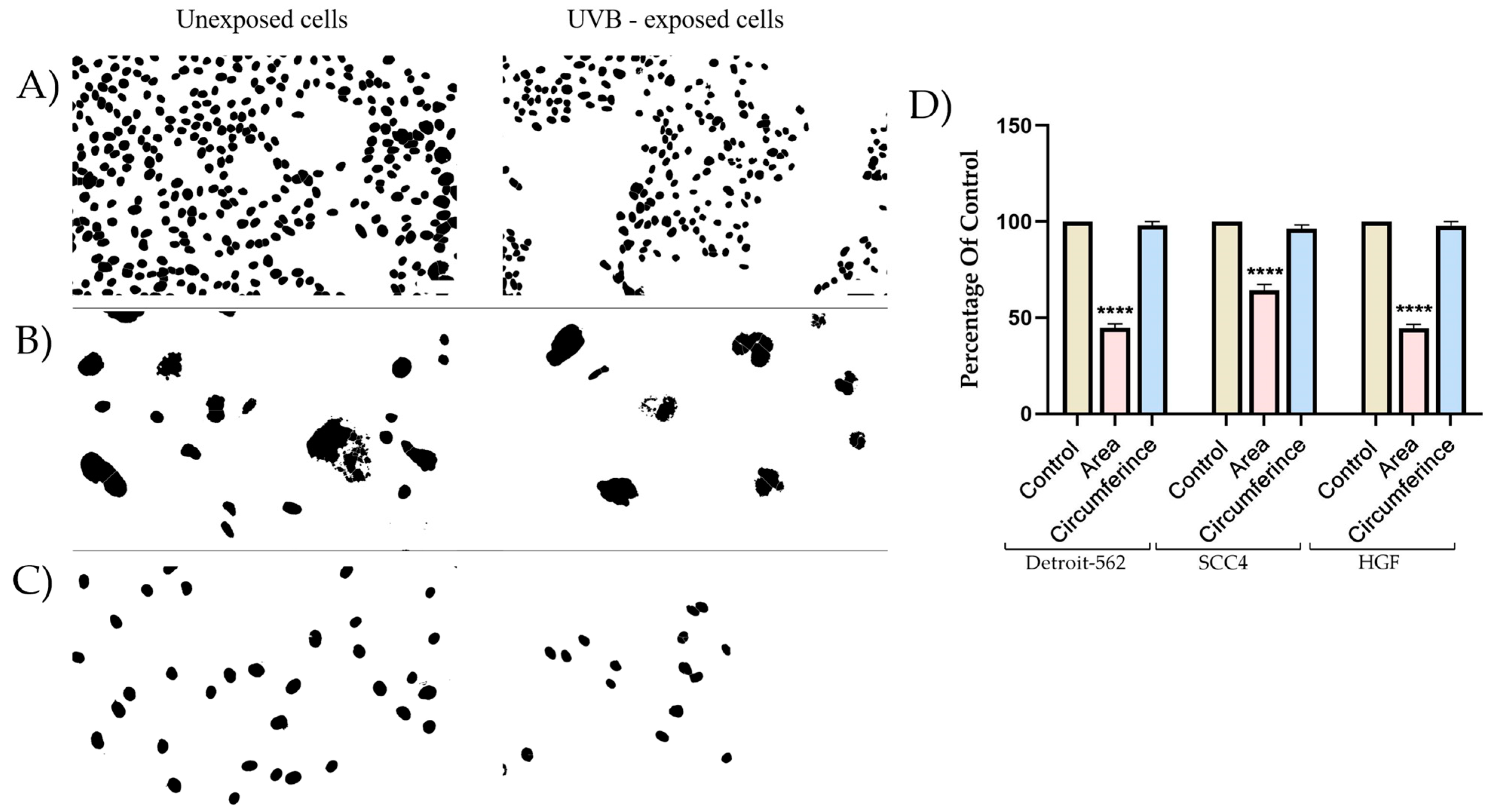 Photonics 10 00464 g008
