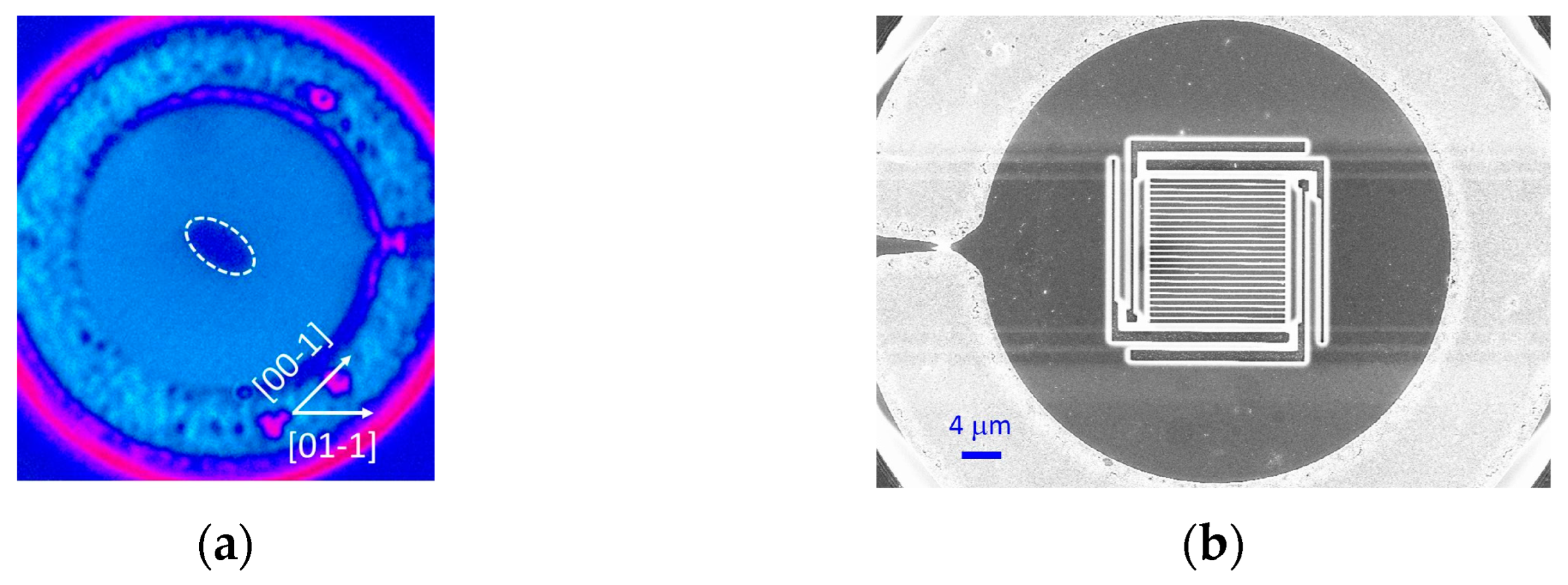Photonics 10 00509 g005