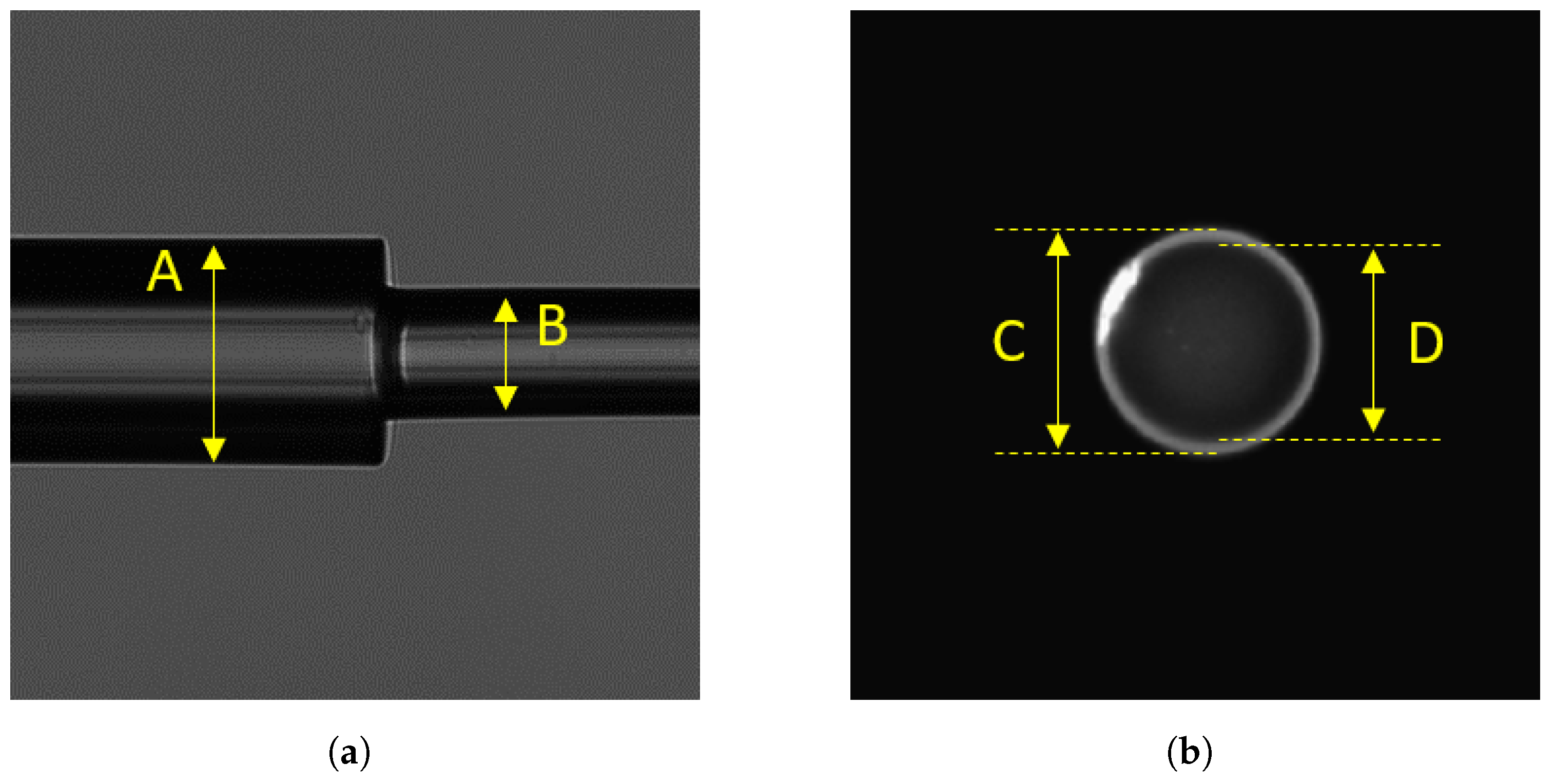 Photonics 10 00513 g005 Photonics 10 00513 g005