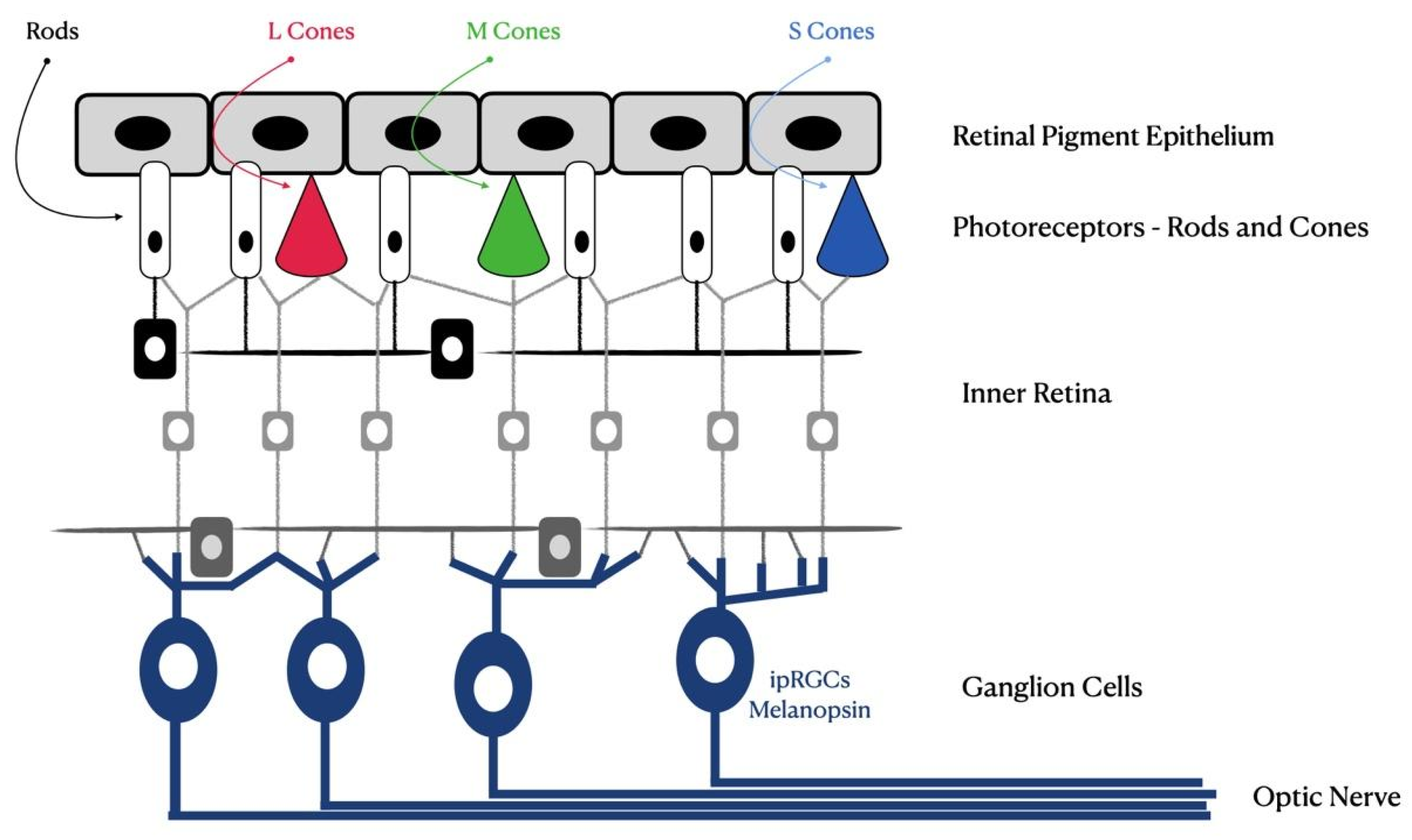 Photonics 10 00560 g001