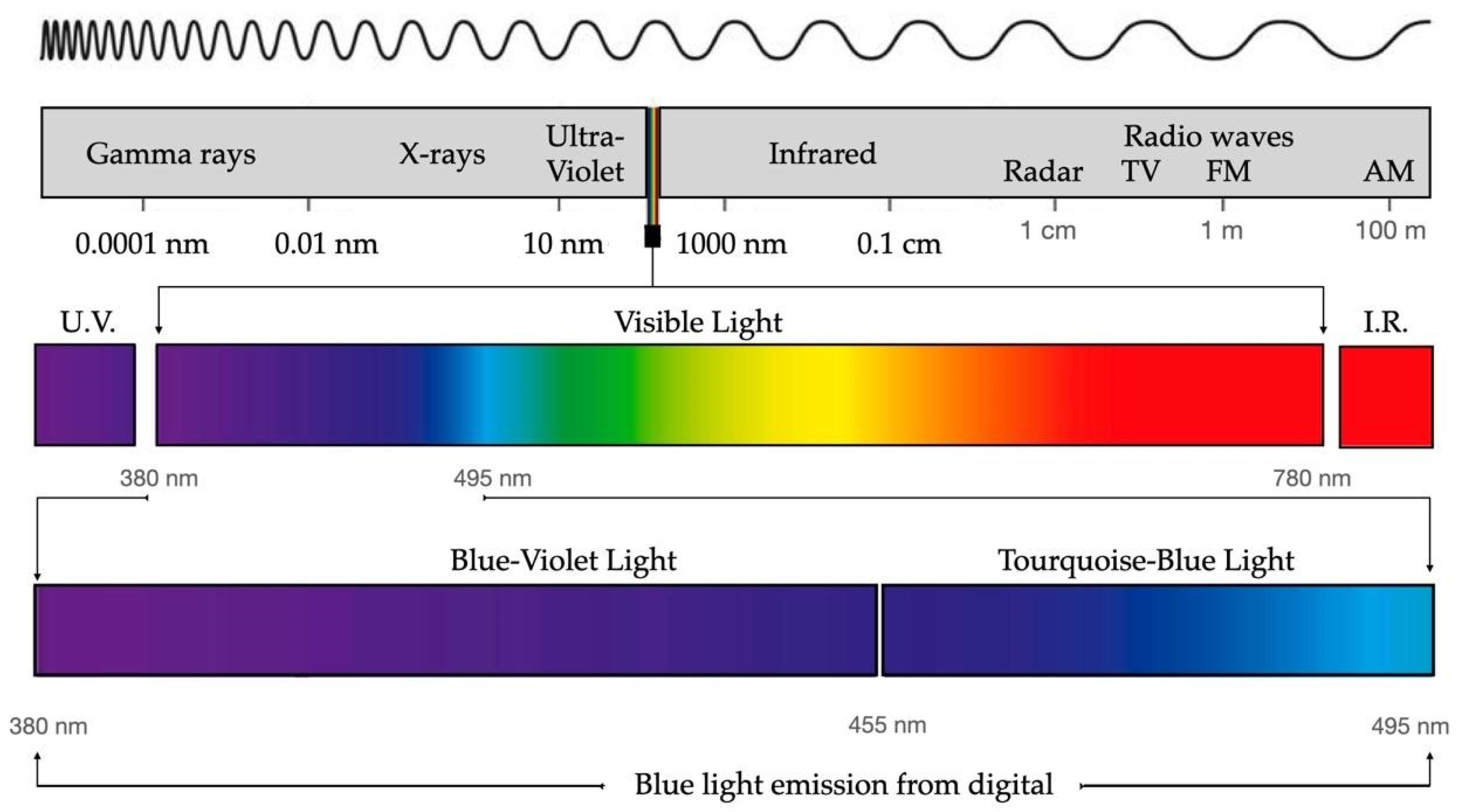 Photonics 10 00560 g002