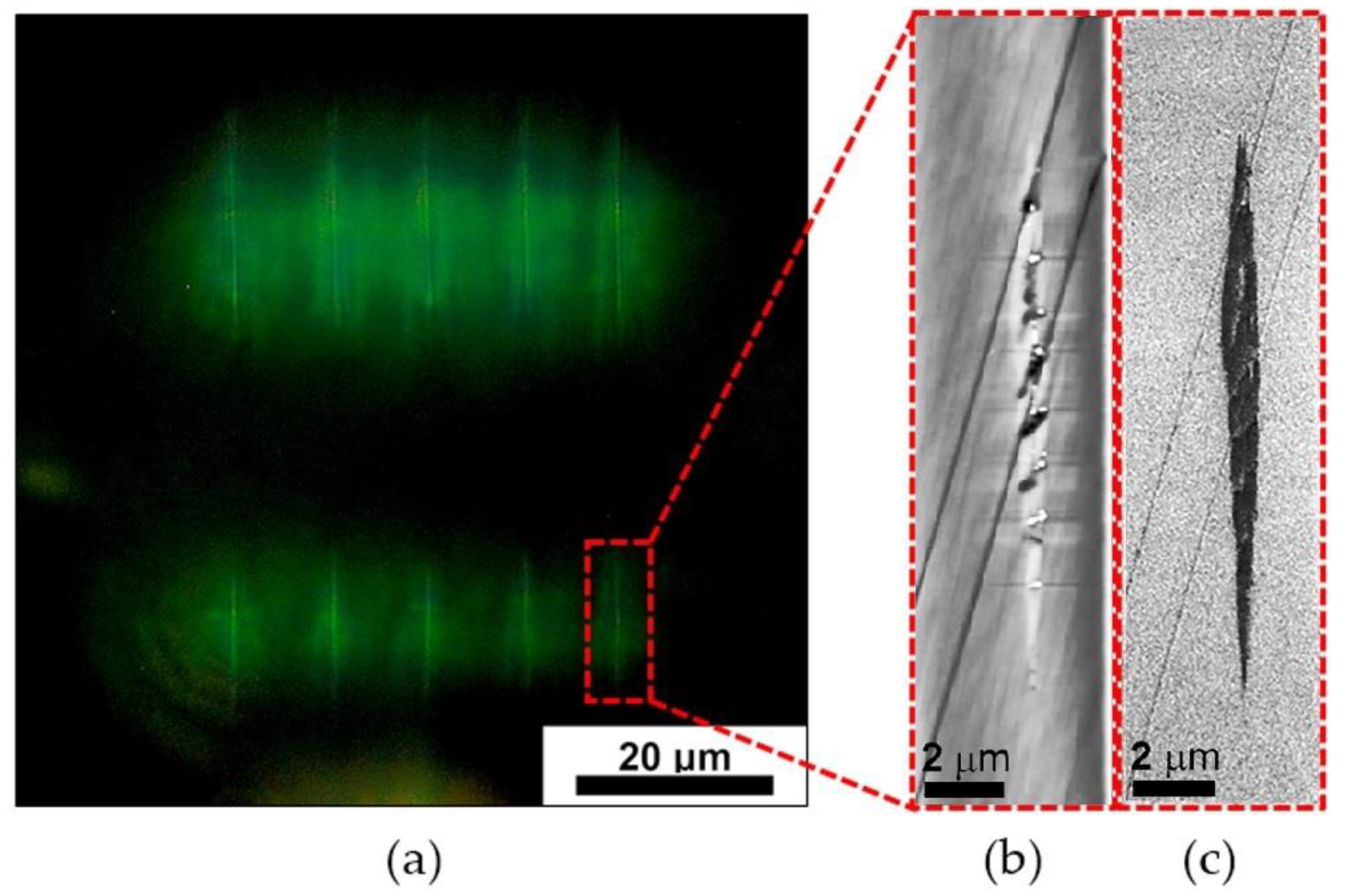 Photonics 10 00582 g003 Photonics 10 00582 g003