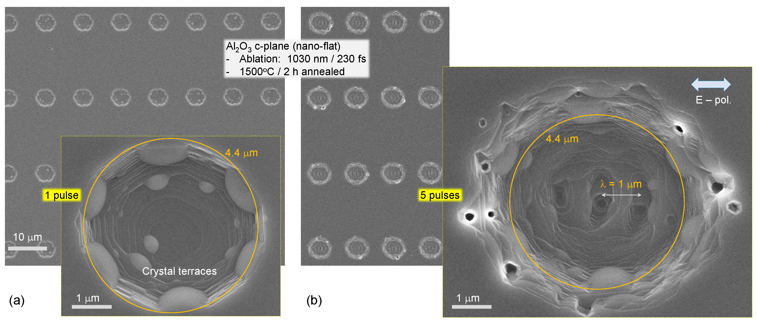 Photonics 10 00594 g004
