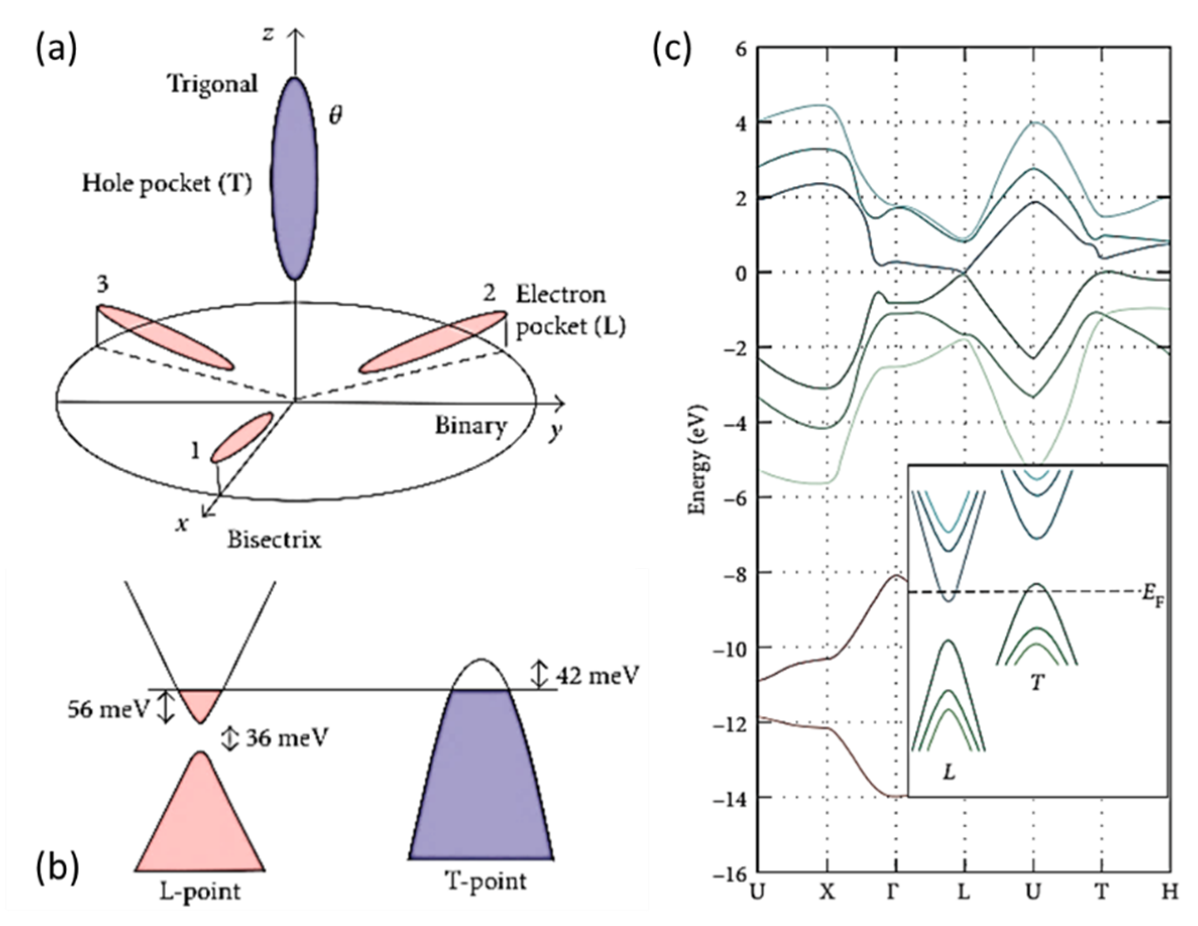 Photonics 10 00602 g002